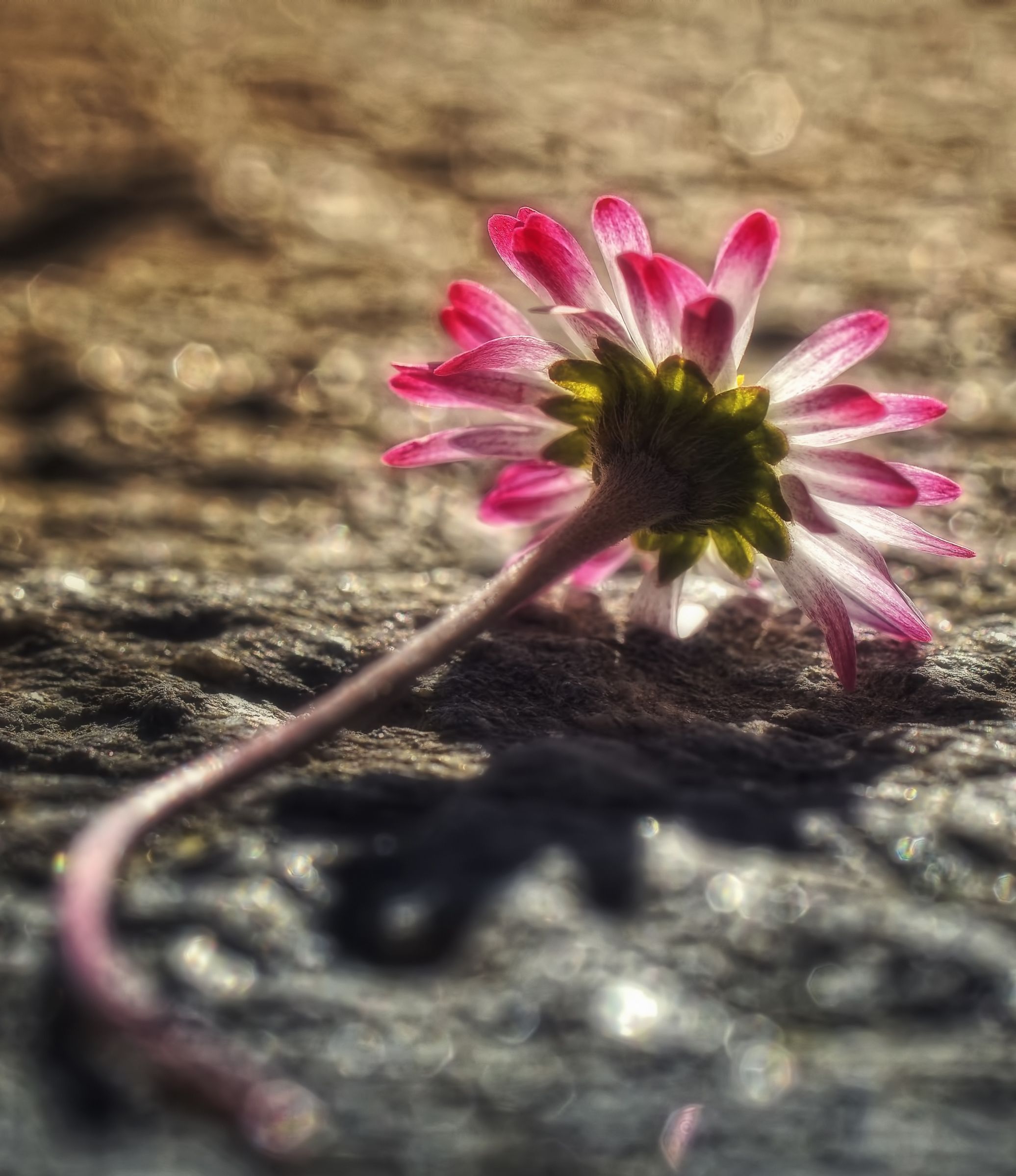 Aspettando il bacio del tramonto...