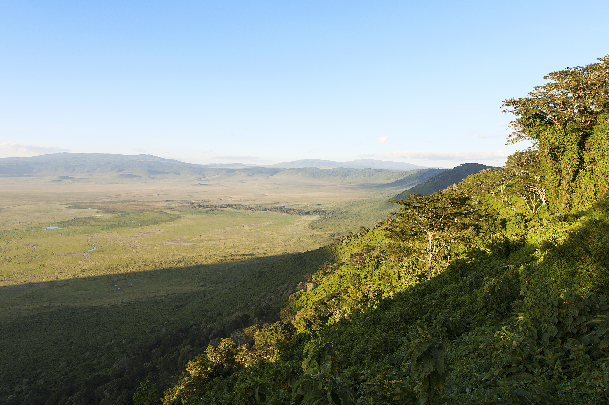 Ngorongoro crater