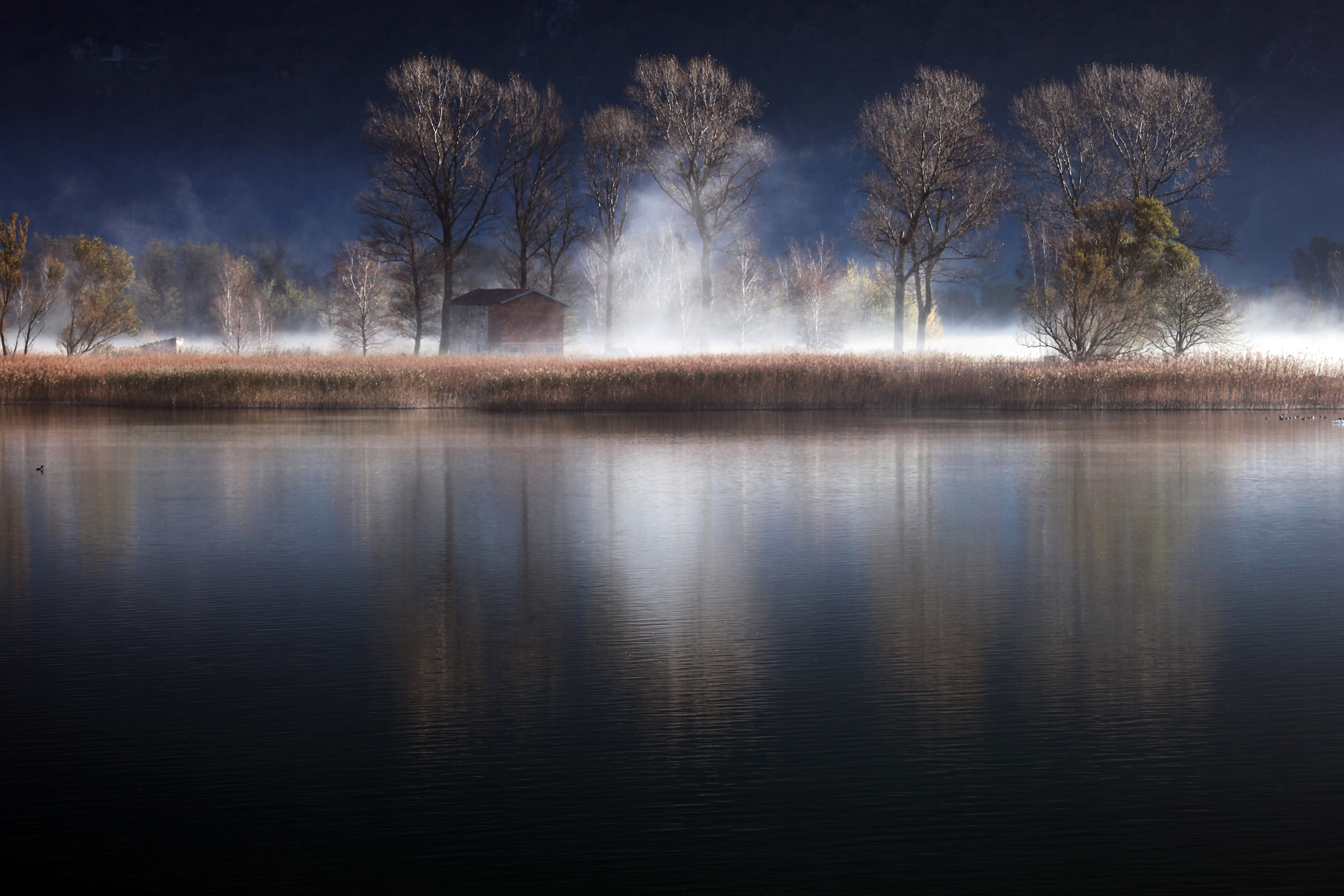 Riserva Naturale di Pian di Spagna e Lago di Mezzola