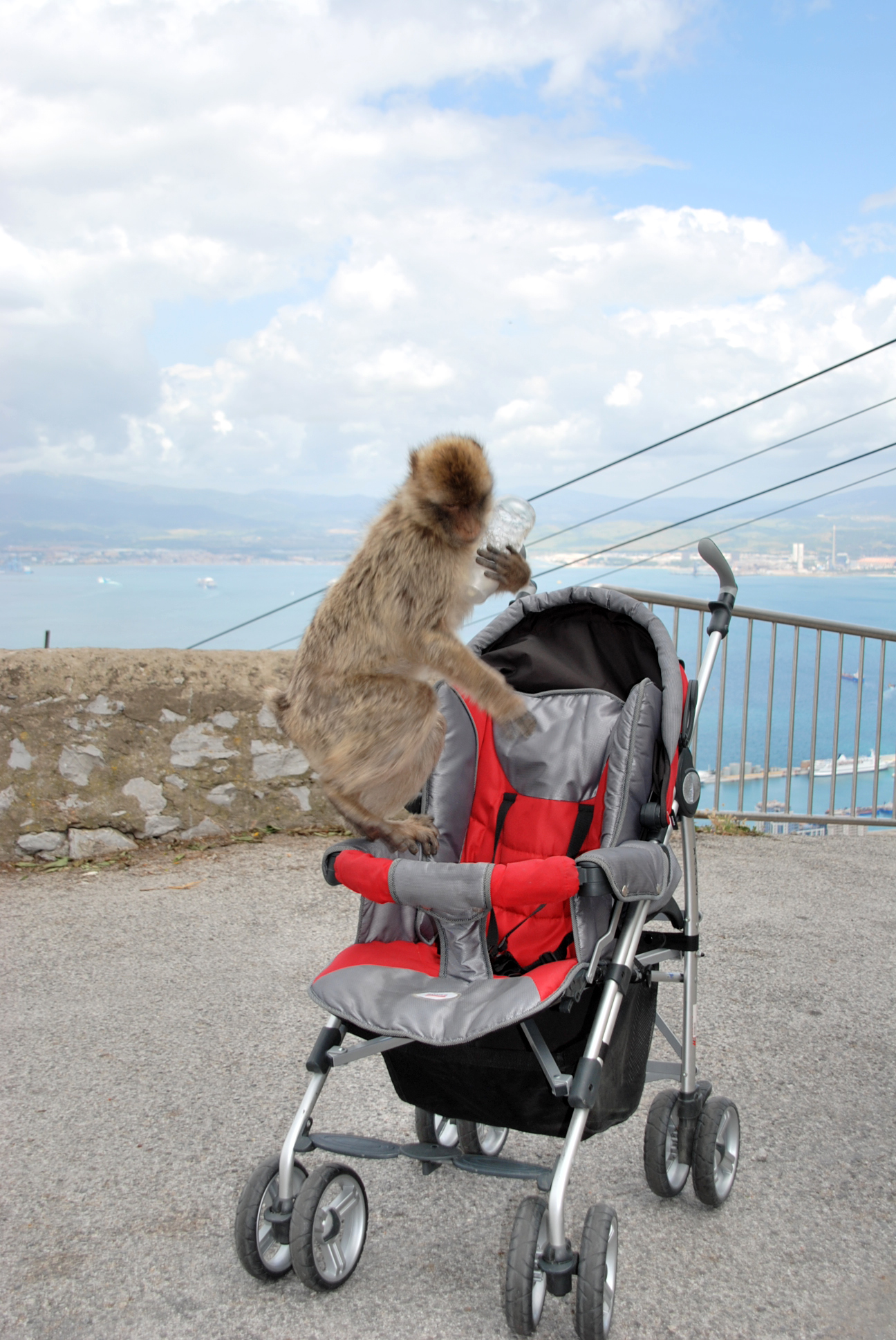 I steal a bottle and then ....