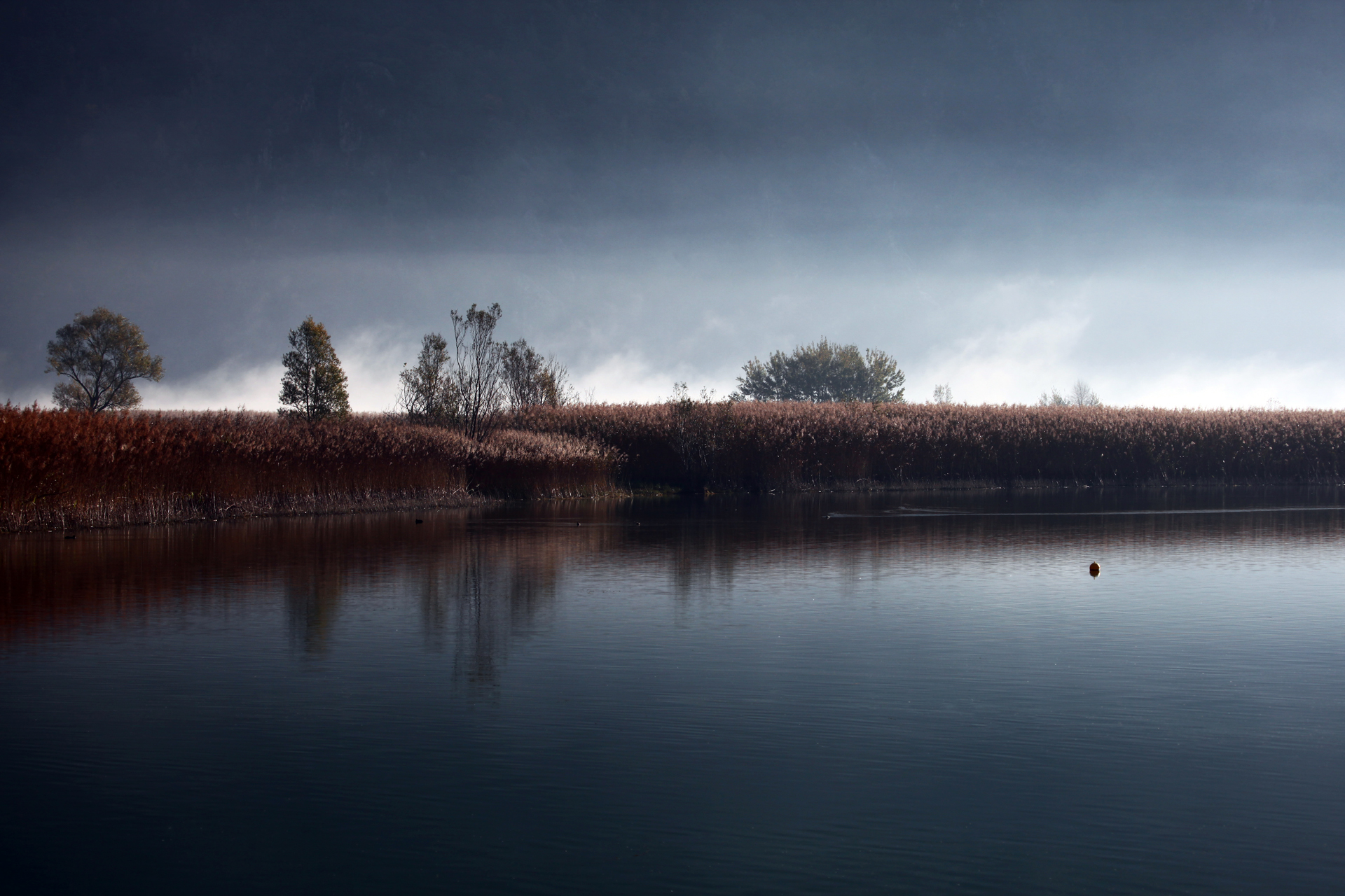 Riserva Naturale di Pian di Spagna e Lago di Mezzola