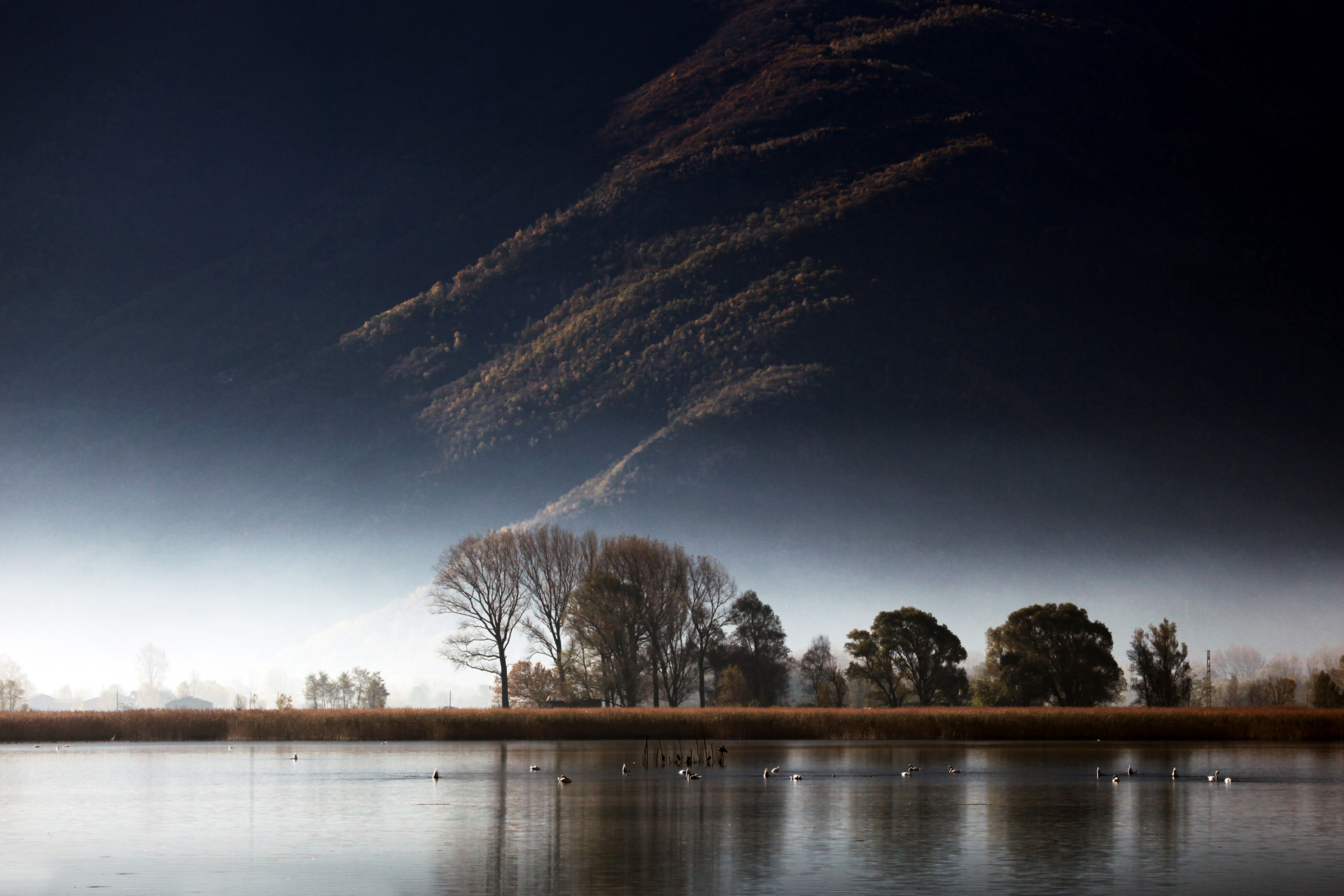 Riserva Naturale di Pian di Spagna e Lago di Mezzola