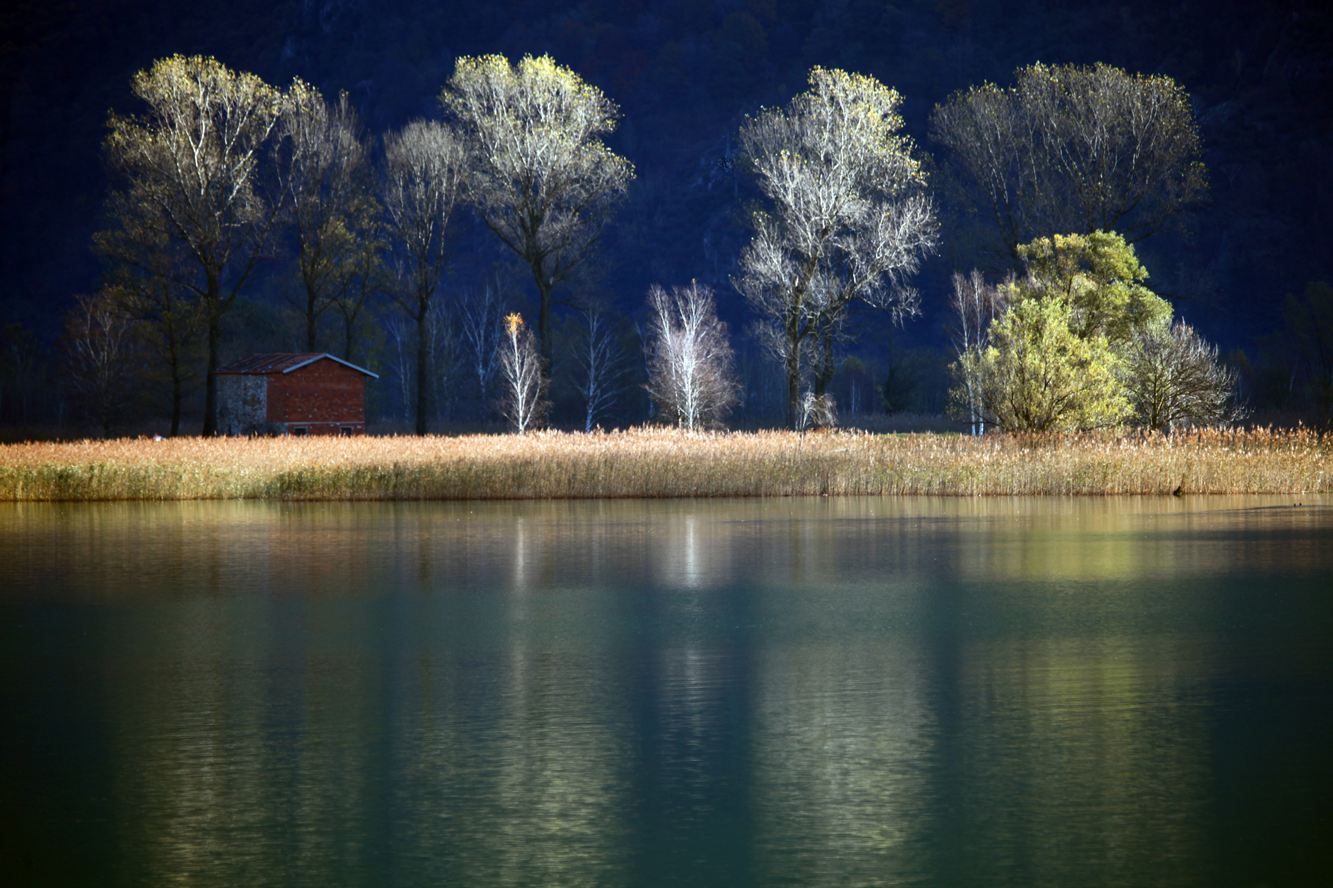 Riserva Naturale di Pian di Spagna e Lago di Mezzola
