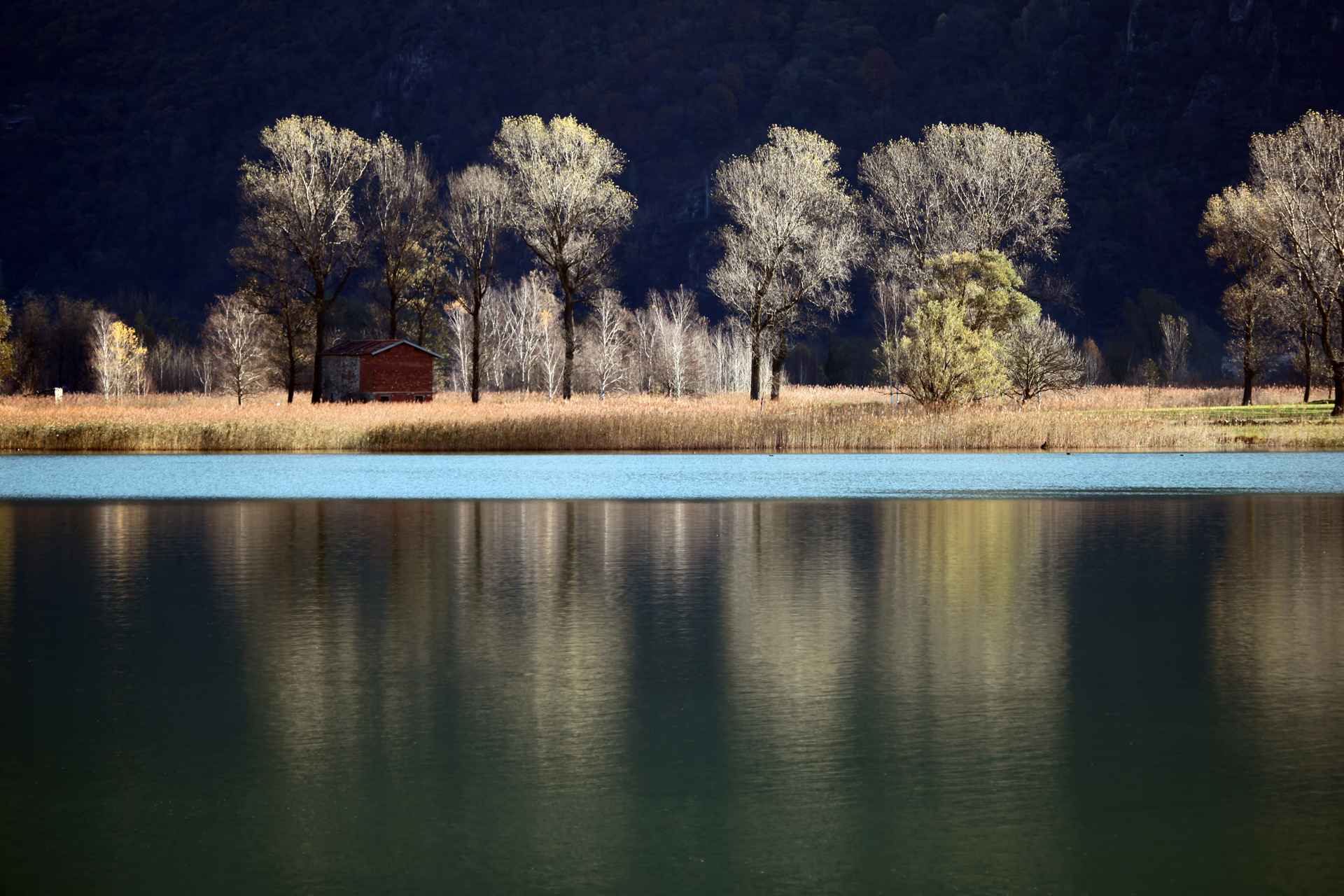Riserva Naturale di Pian di Spagna e Lago di Mezzola