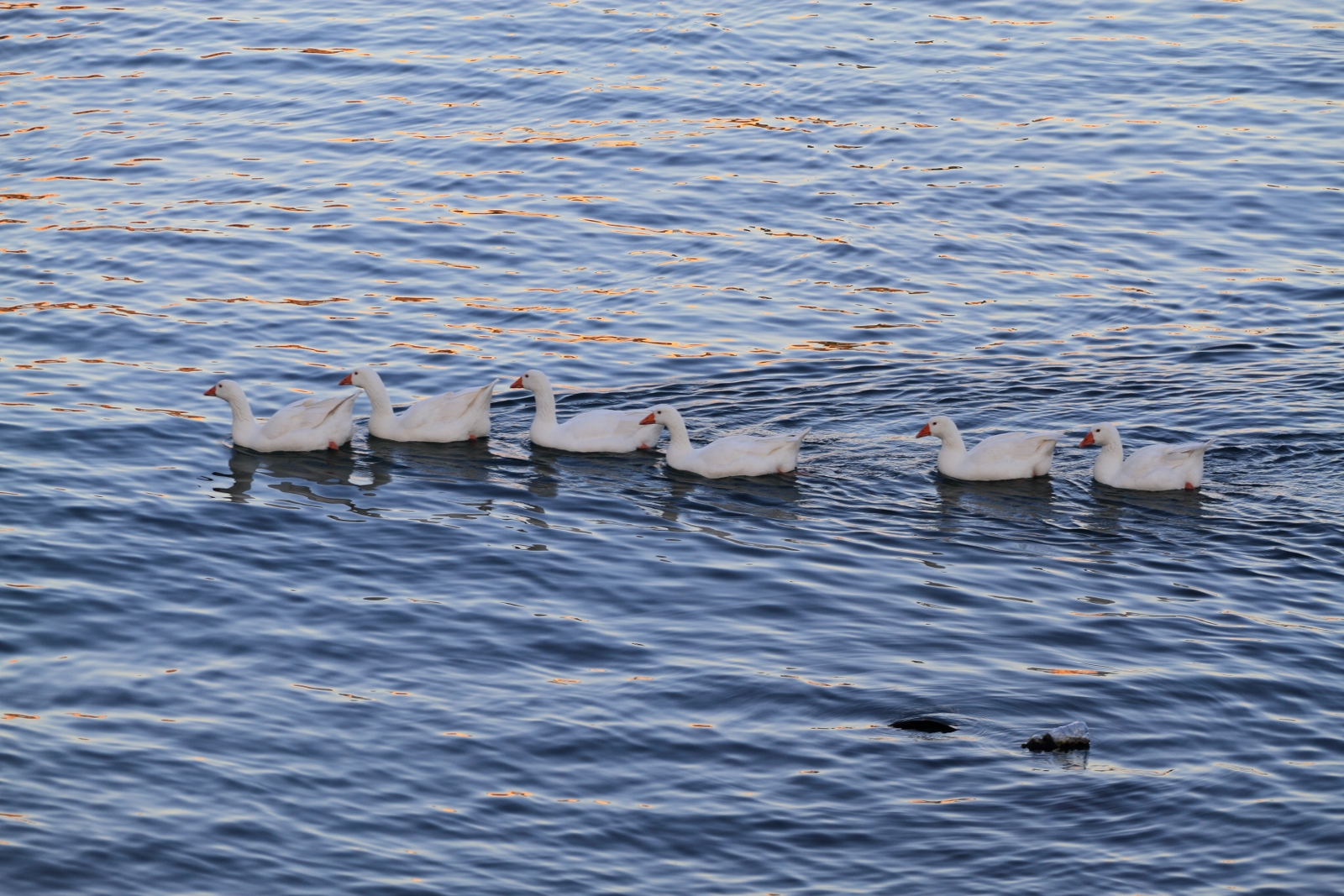 In trip to the beach