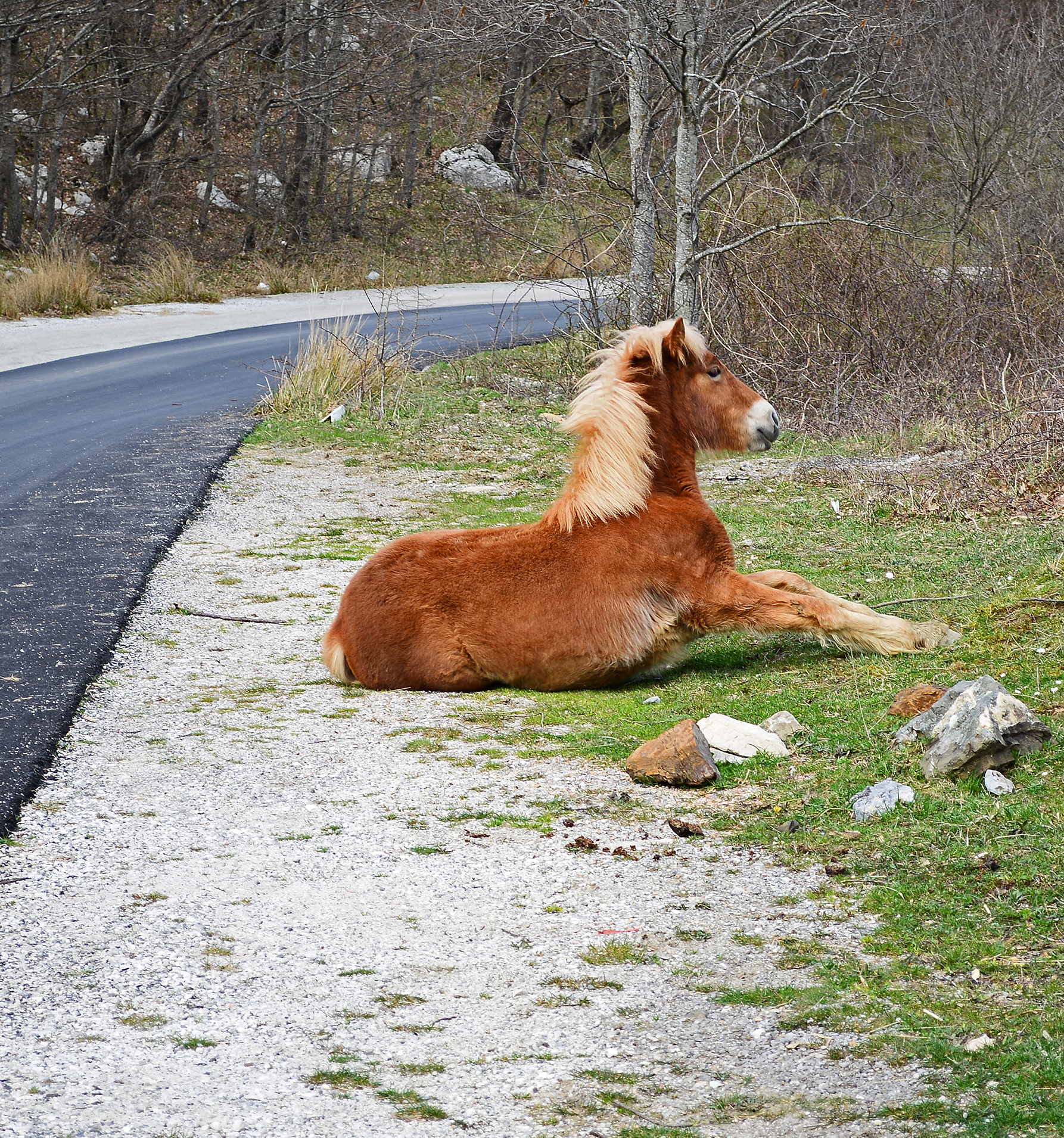 Da bravo su..un bell'inchino!