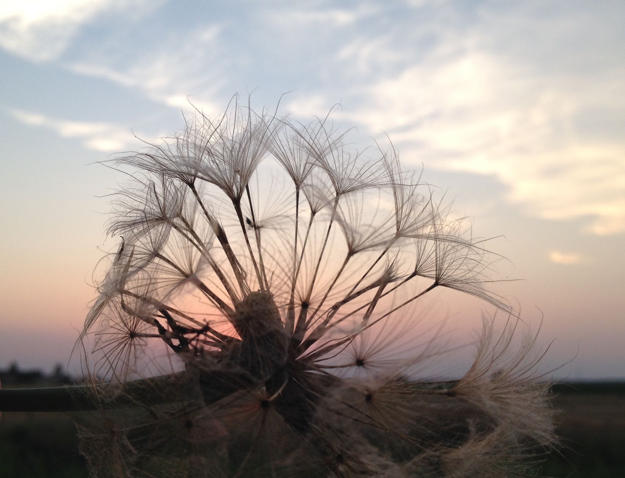a different view of a sunset