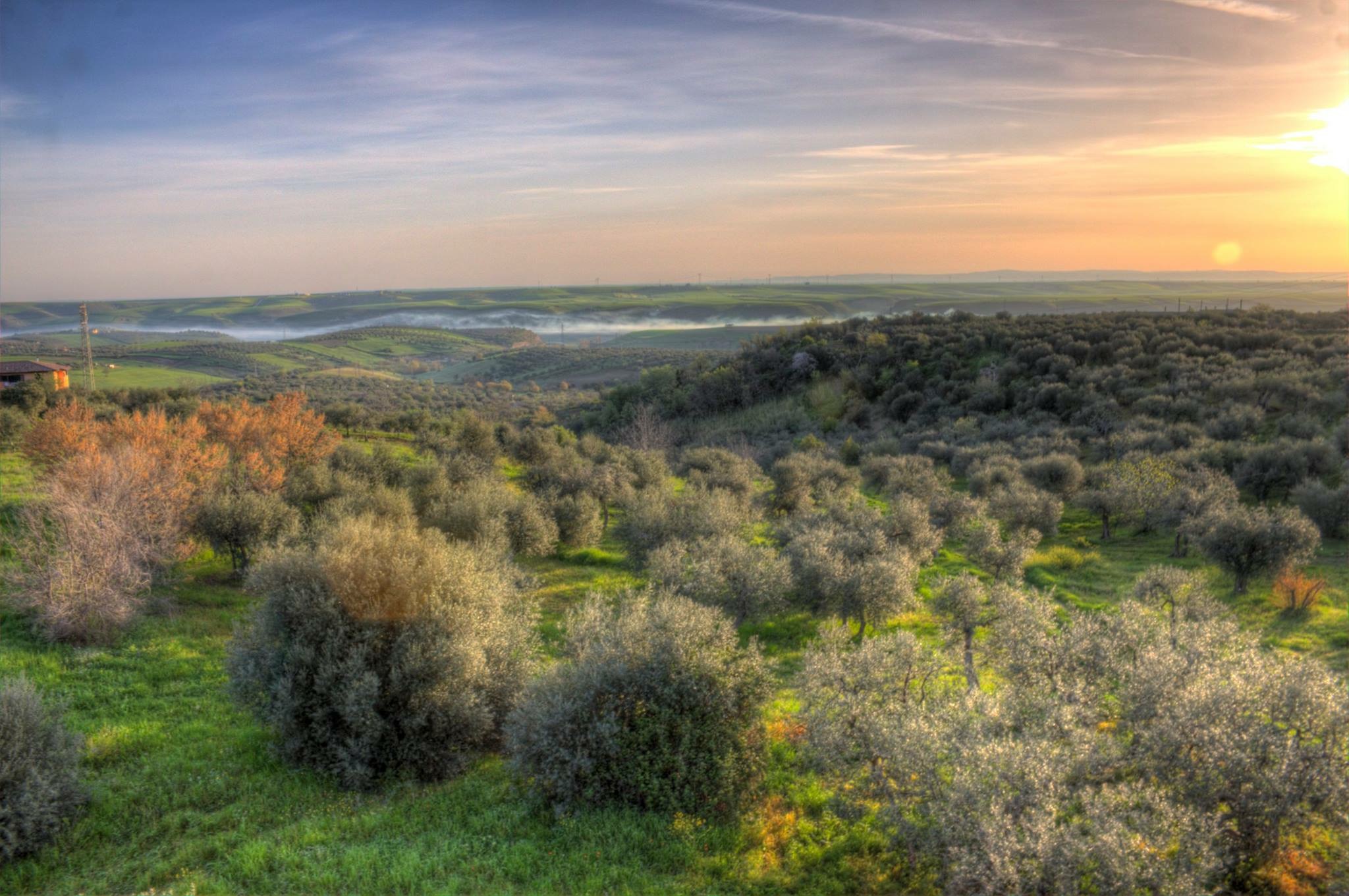 From the balcony of the house