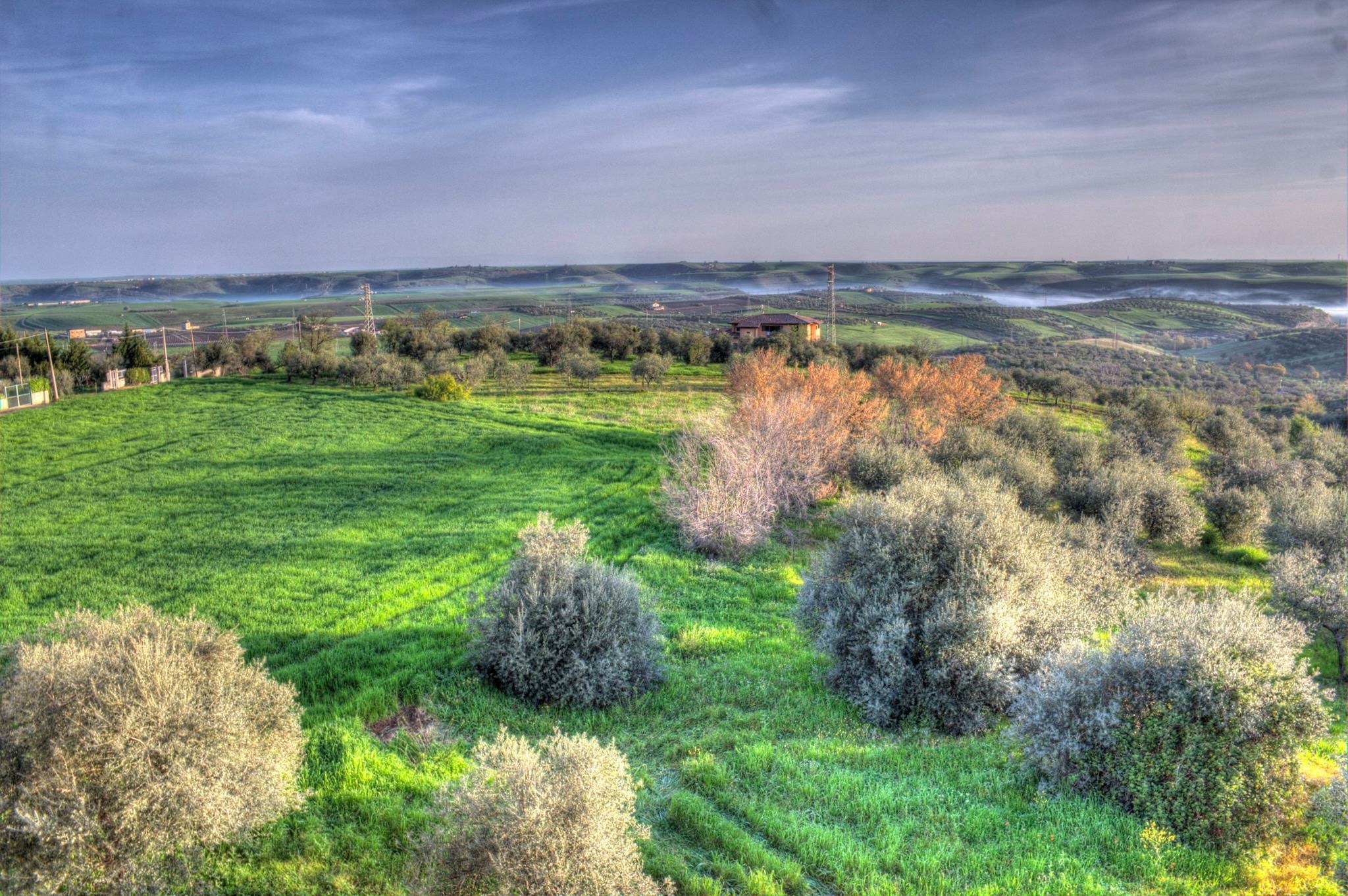 From the balcony of the house