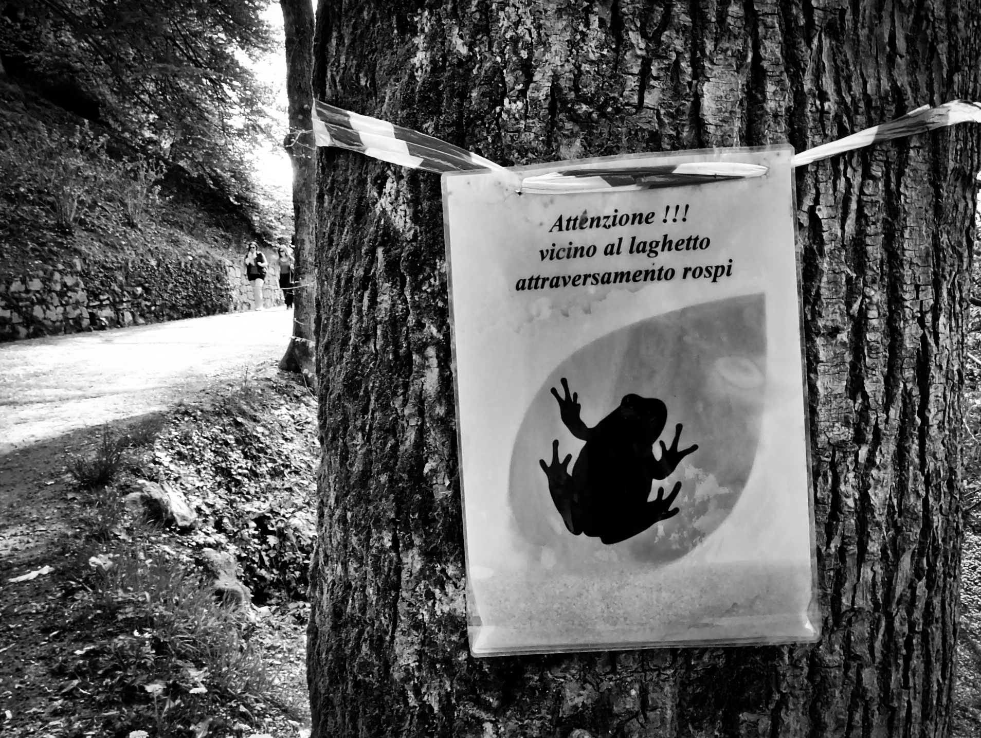 Quarto raduno aspiranti Principi Azzurri