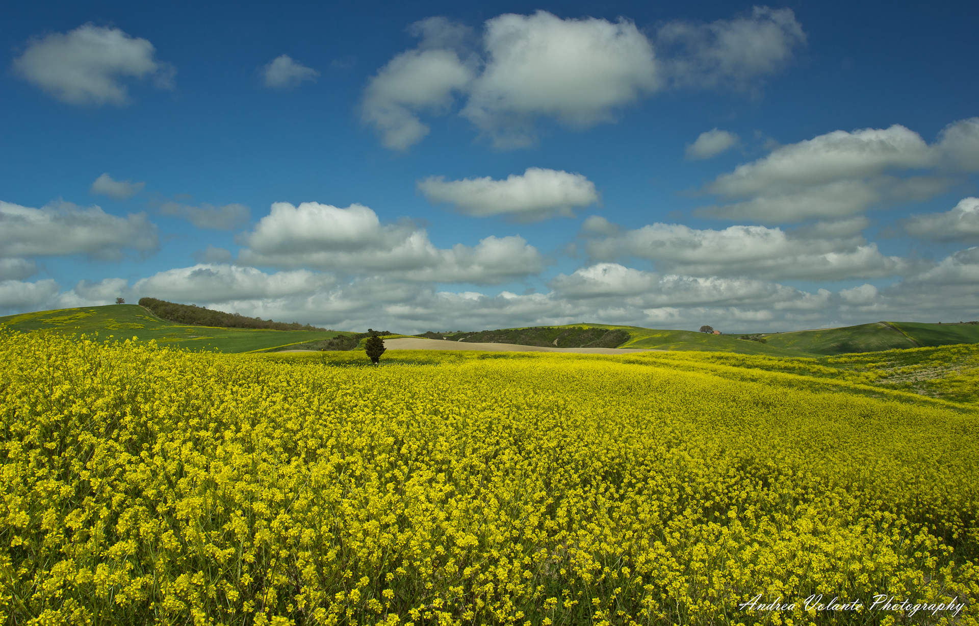 Campagna Toscana