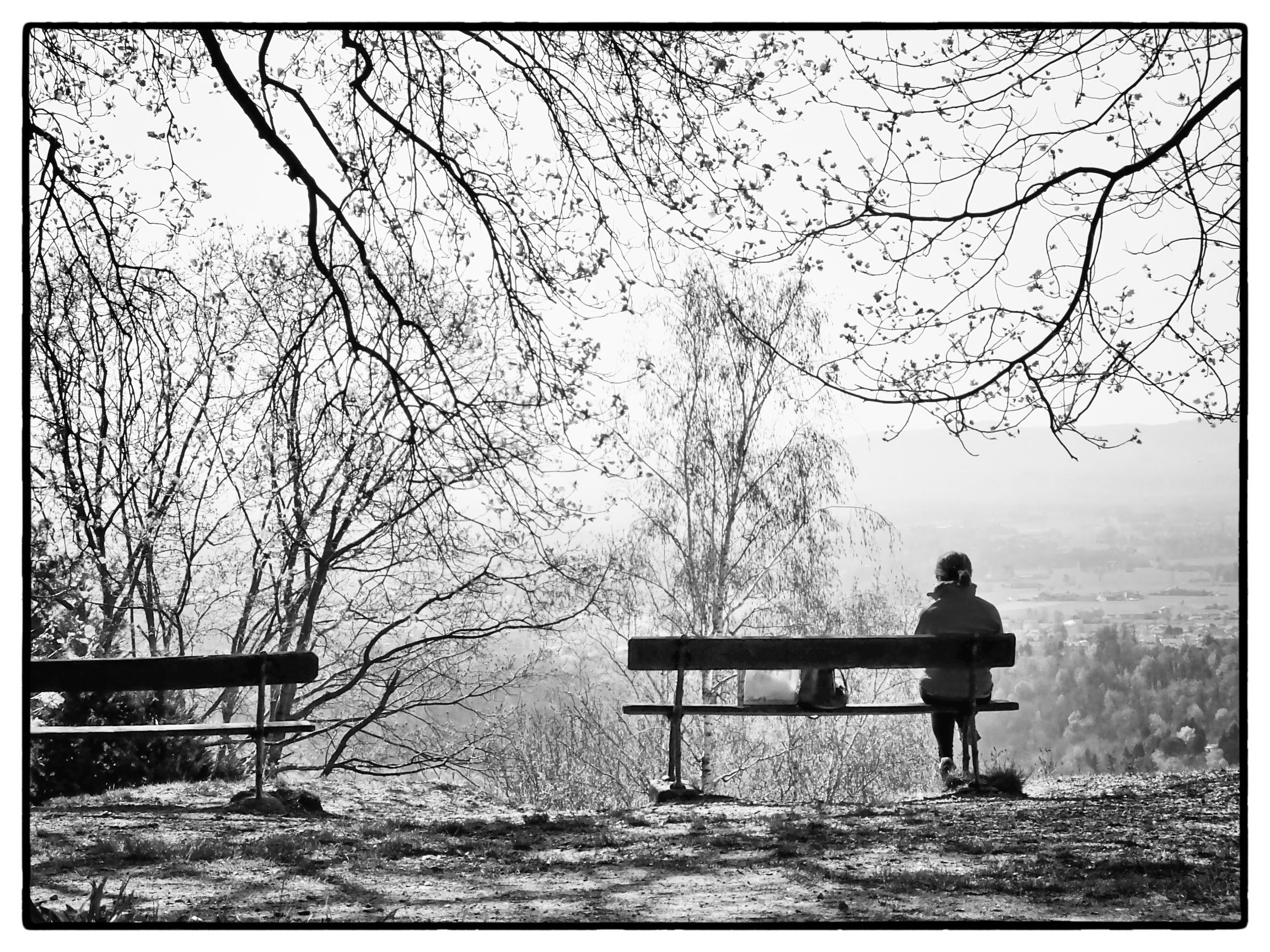 pensieri in solitudine