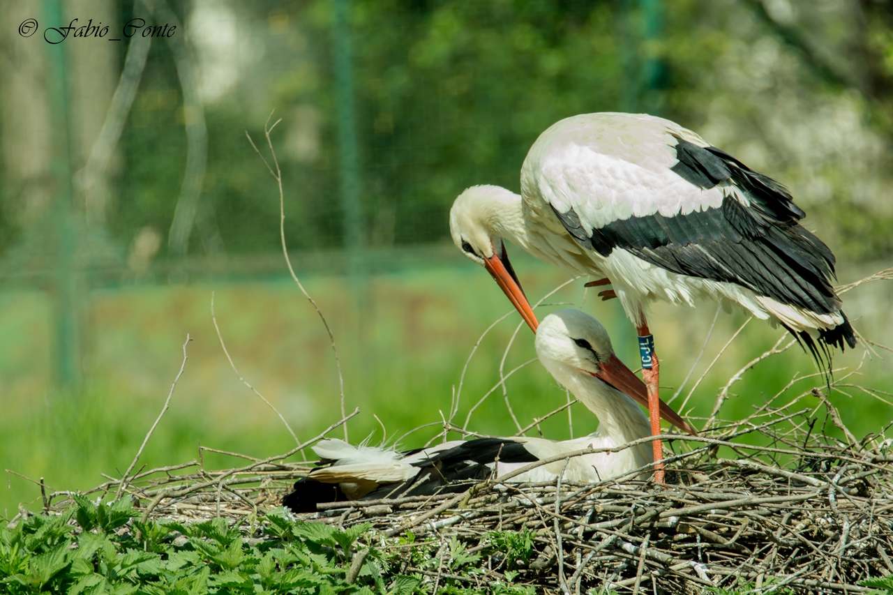 Questo è amore vero!