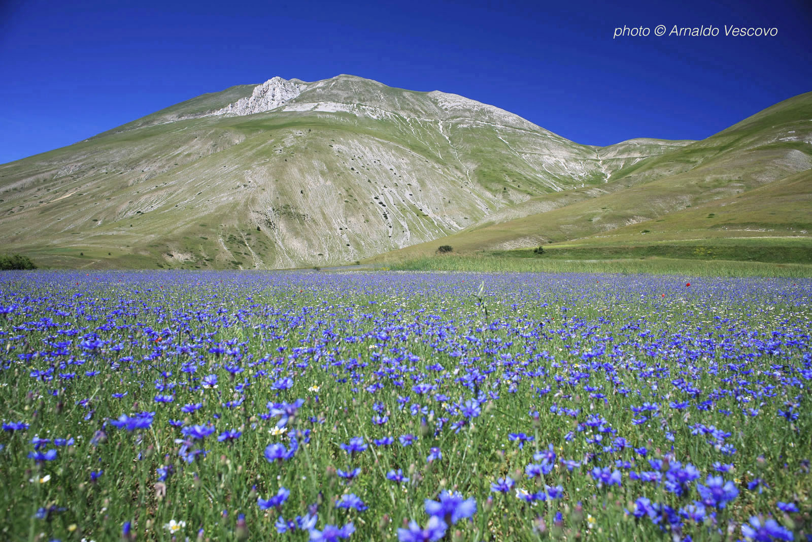 Piano grande di Castelluccio - Umbria