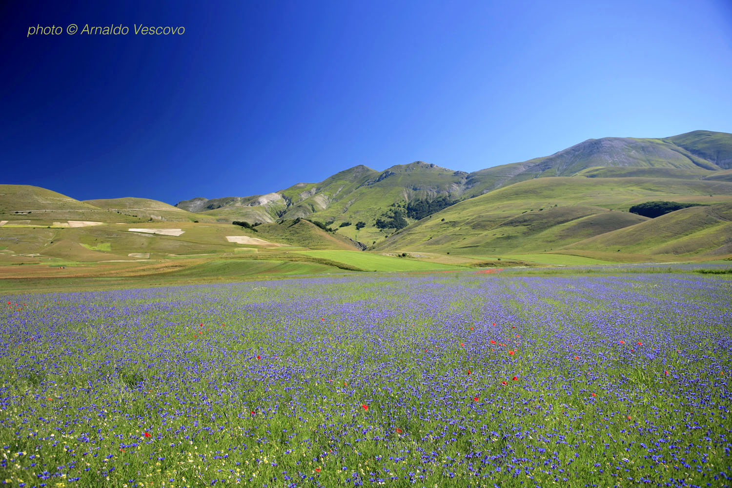 Piano perduto di Castelluccio - Marche