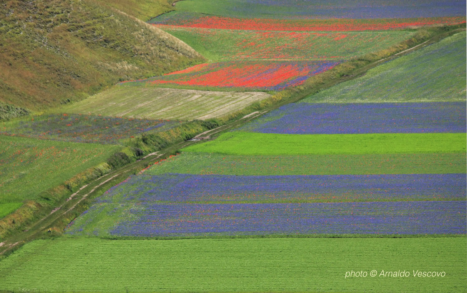Piani di Castelluccio di Norcia