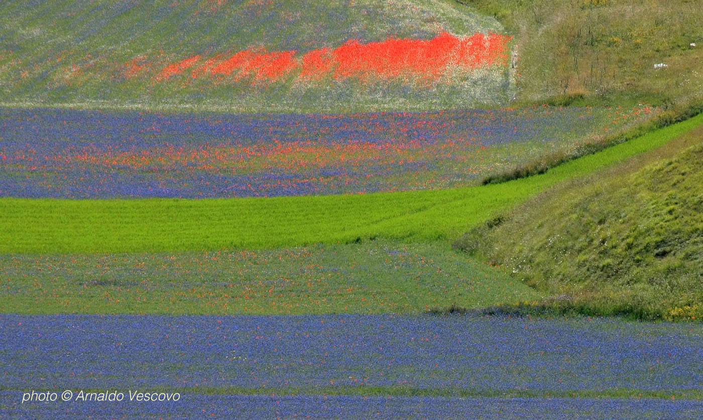Piani di Castelluccio di Norcia