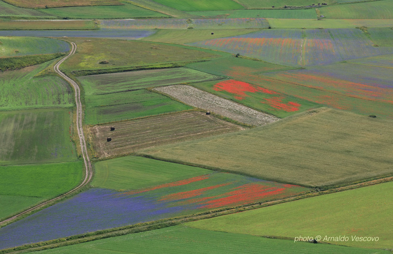Piani di Castelluccio di Norcia