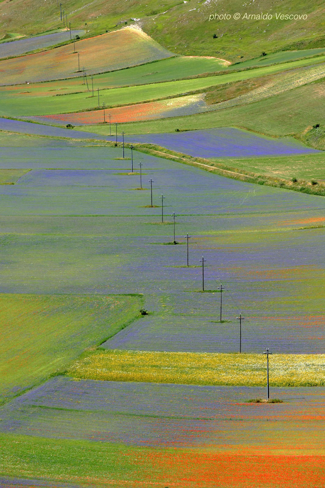 Piani di Castelluccio di Norcia