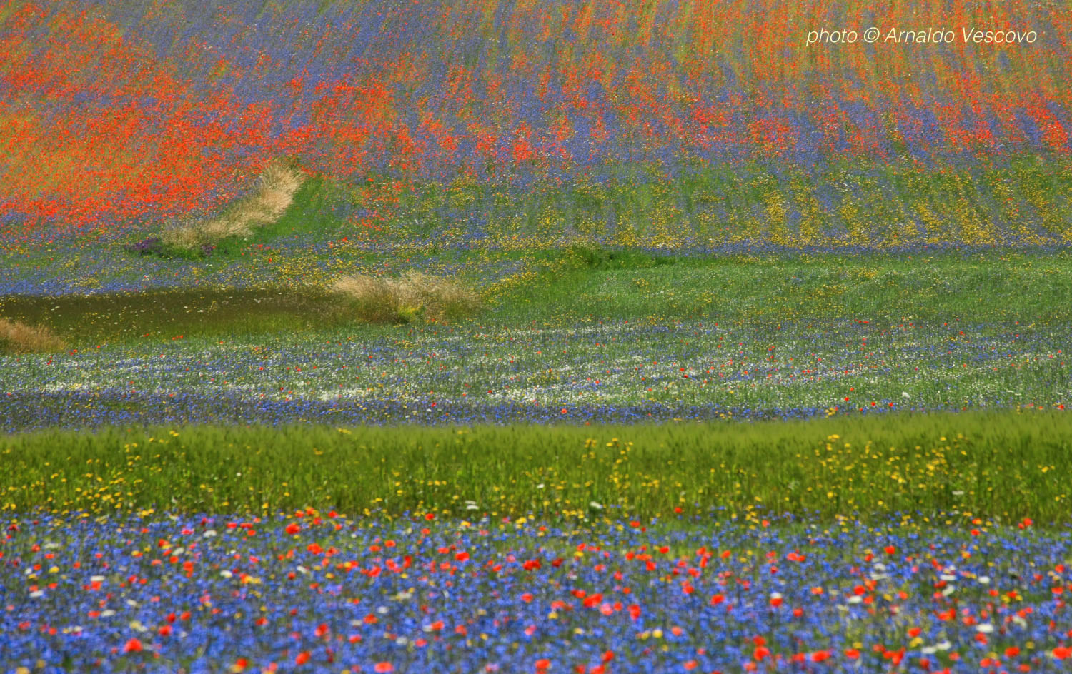 Piani di Castelluccio di Norcia