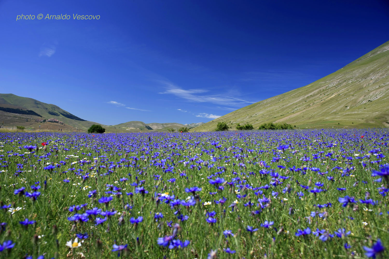 Piani di Castelluccio di Norcia