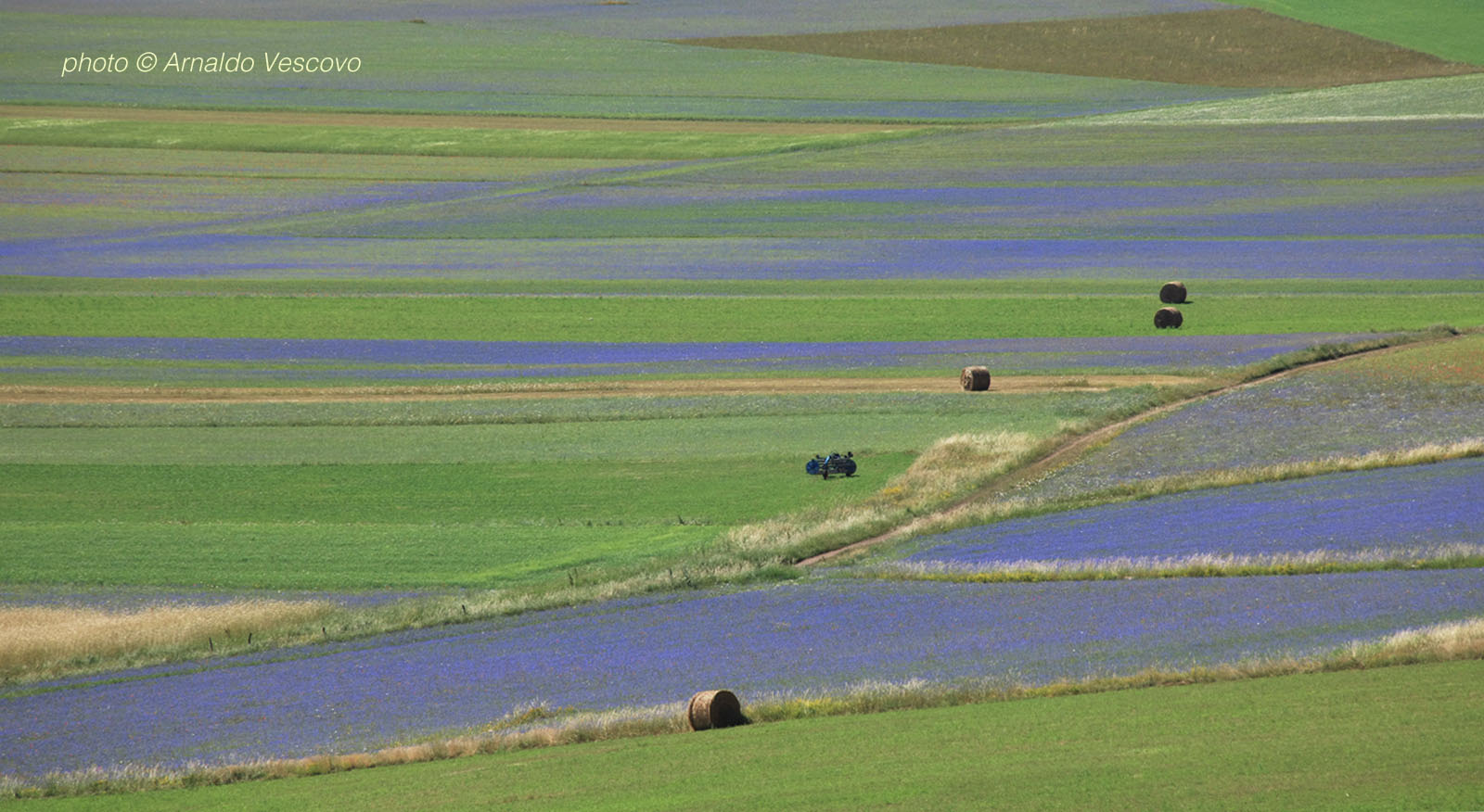 Piani di Castelluccio di Norcia