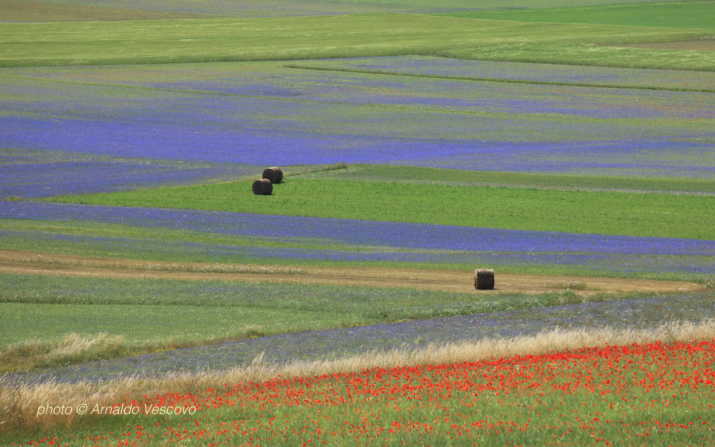 Piani di Castelluccio di Norcia