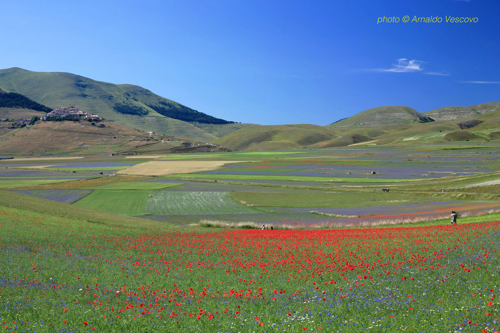 Piani di Castelluccio di Norcia