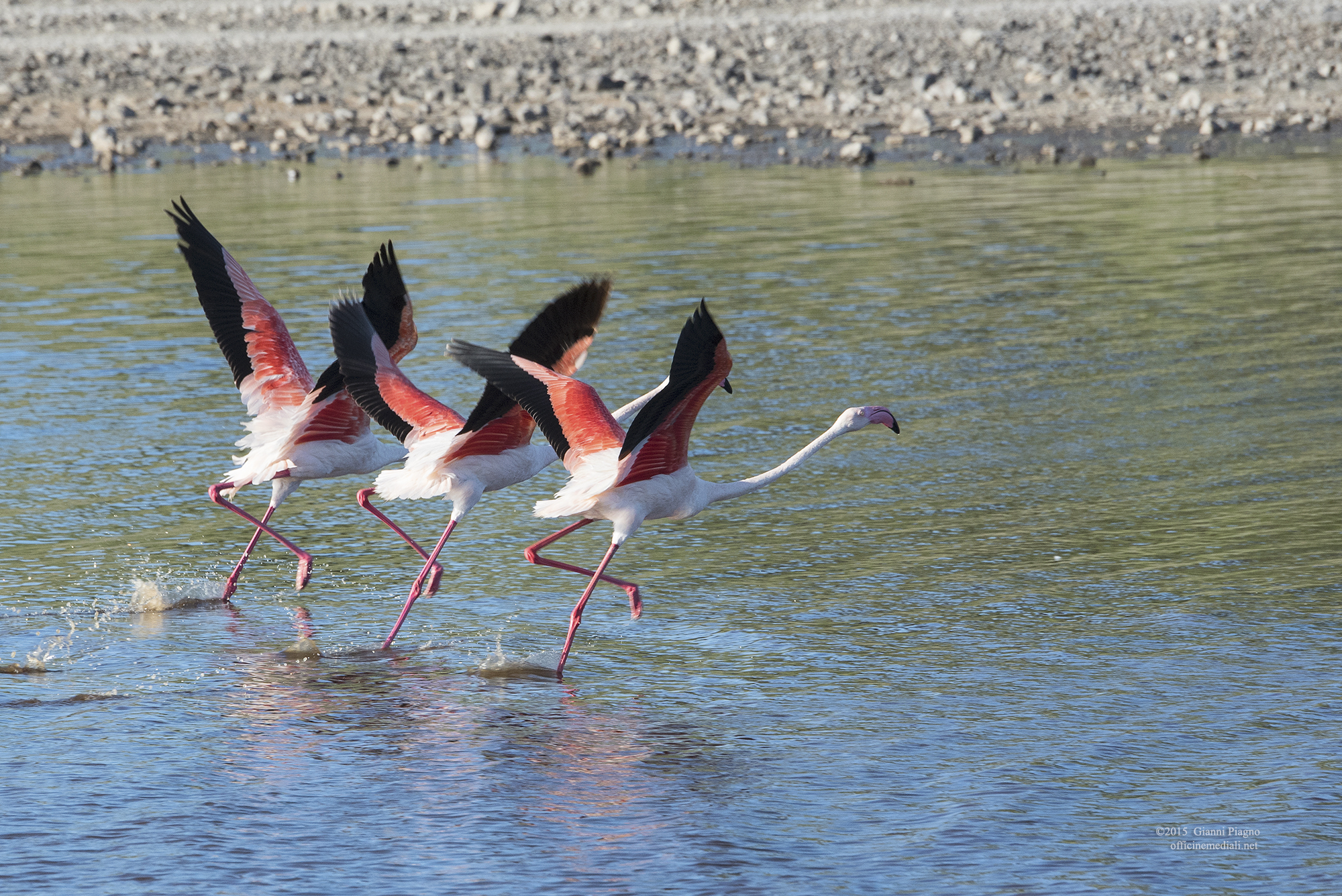 Decollo sincronizzato