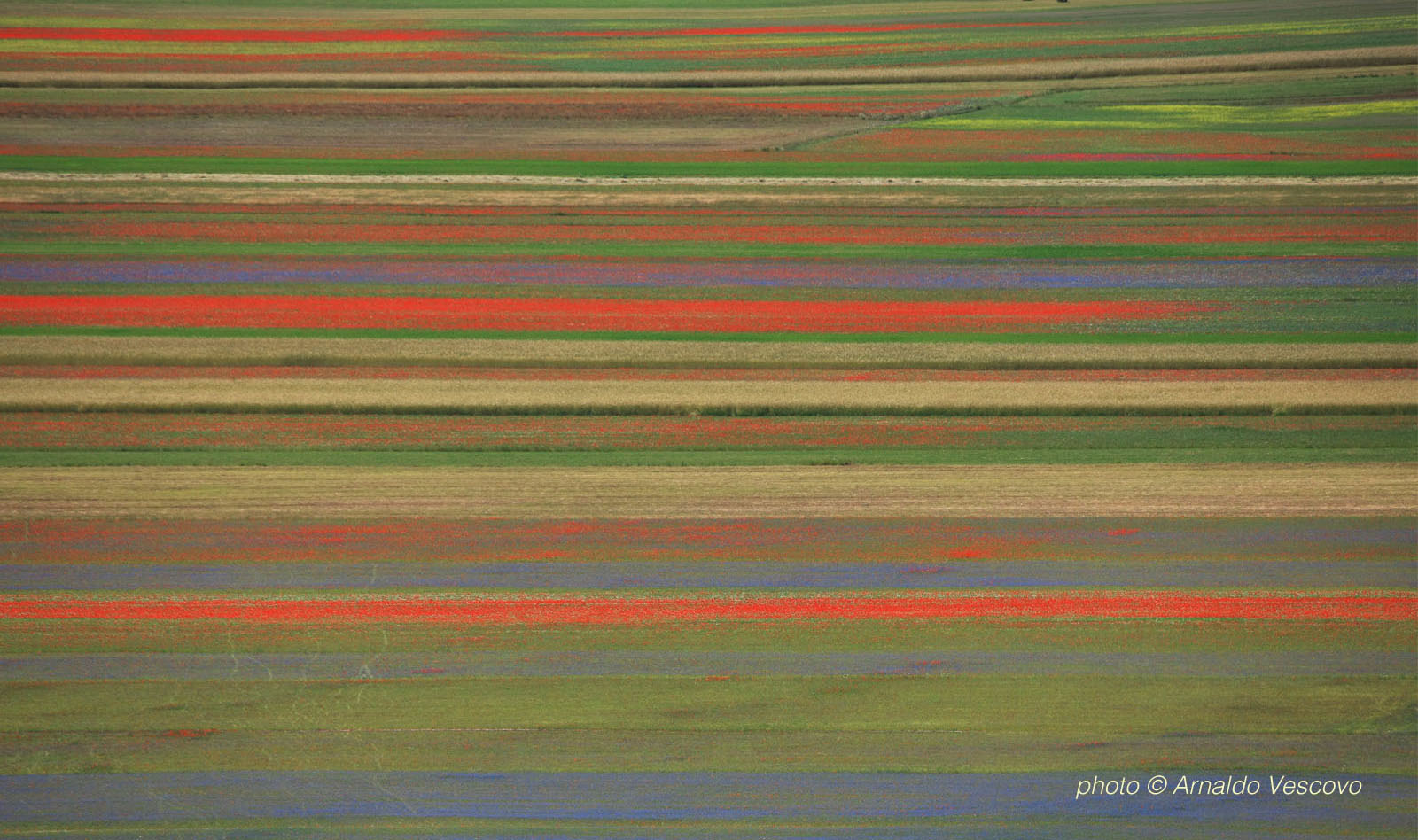 Piano grande di Castelluccio