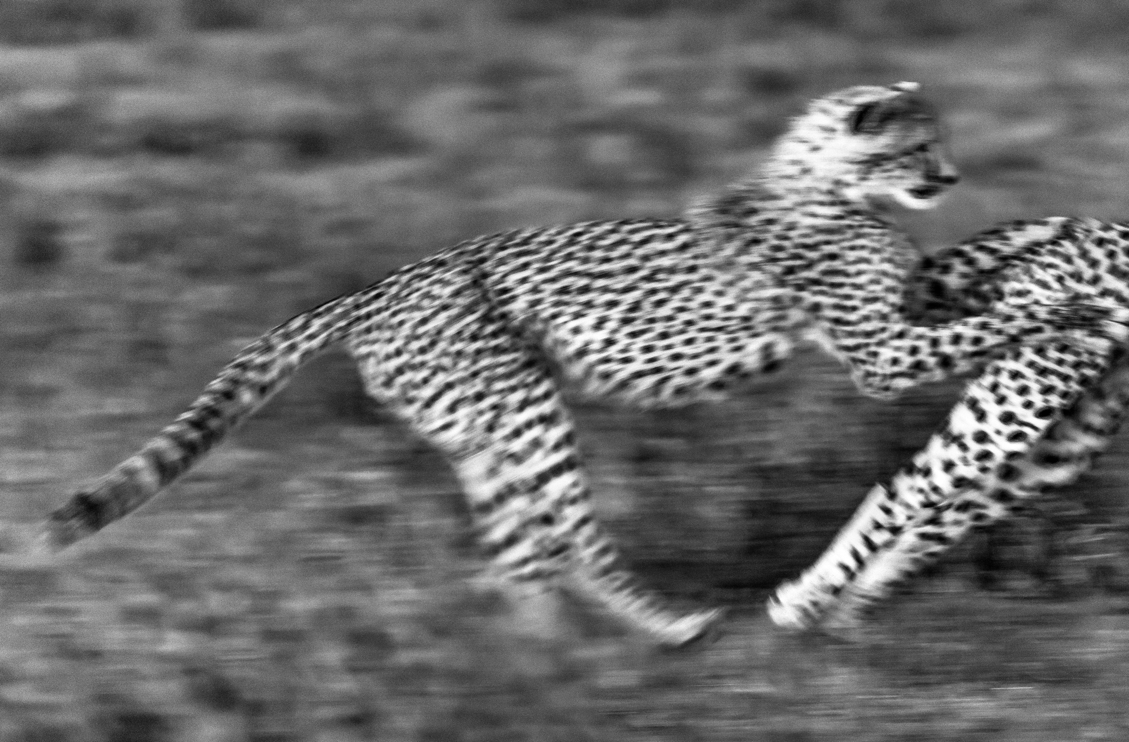 Tanzania 2016 - Giochi all'alba