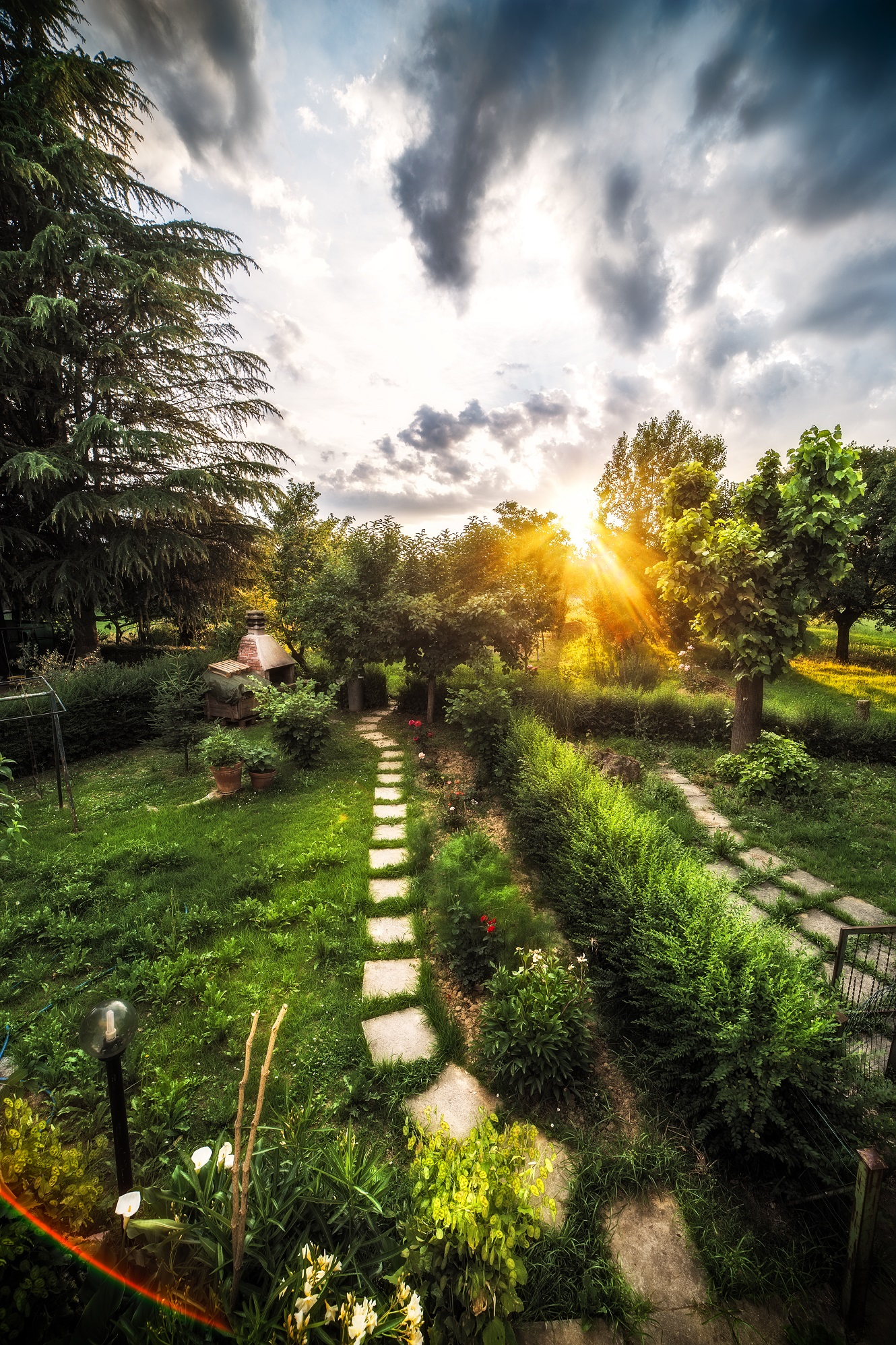 The garden of my house