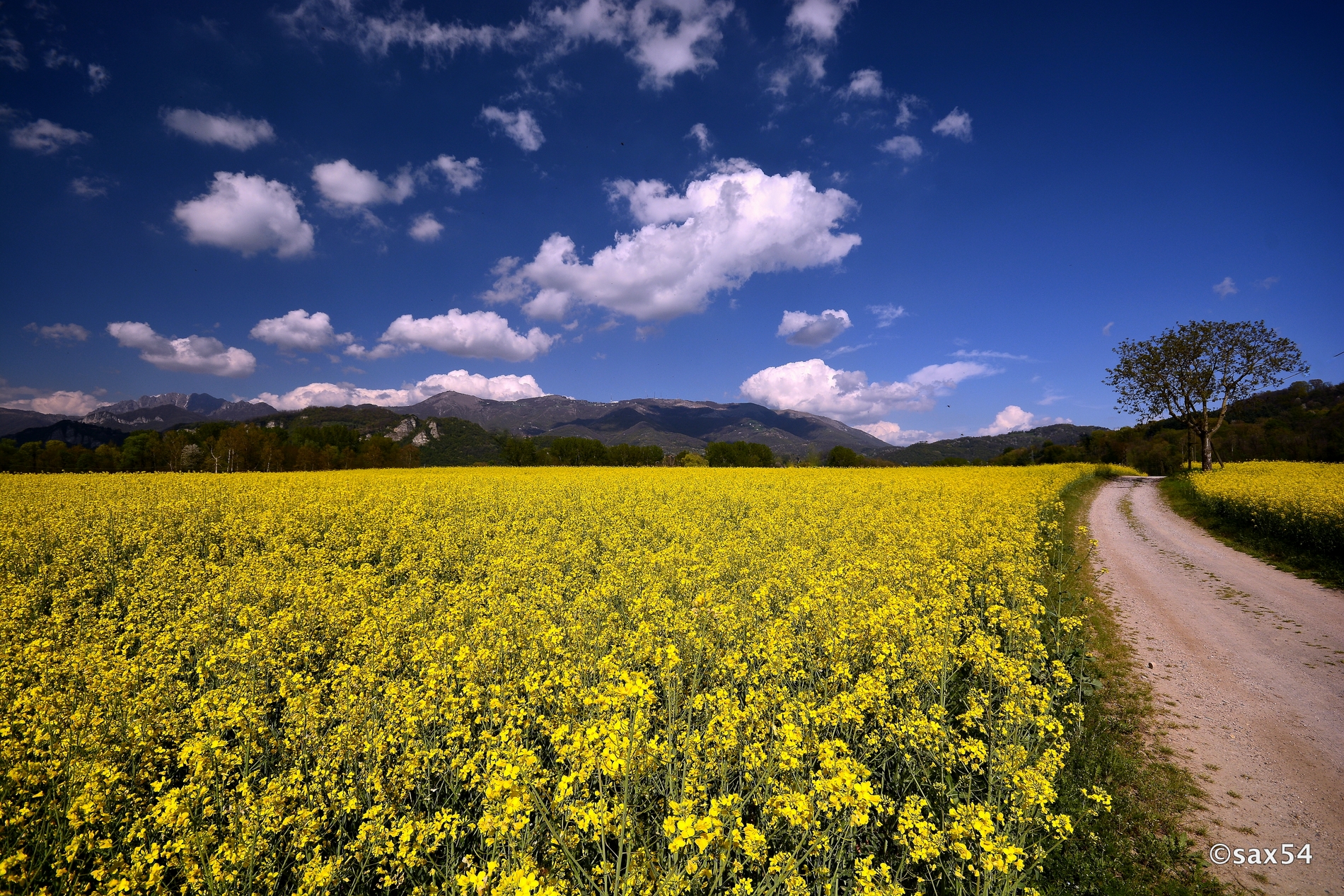 walking along the adda