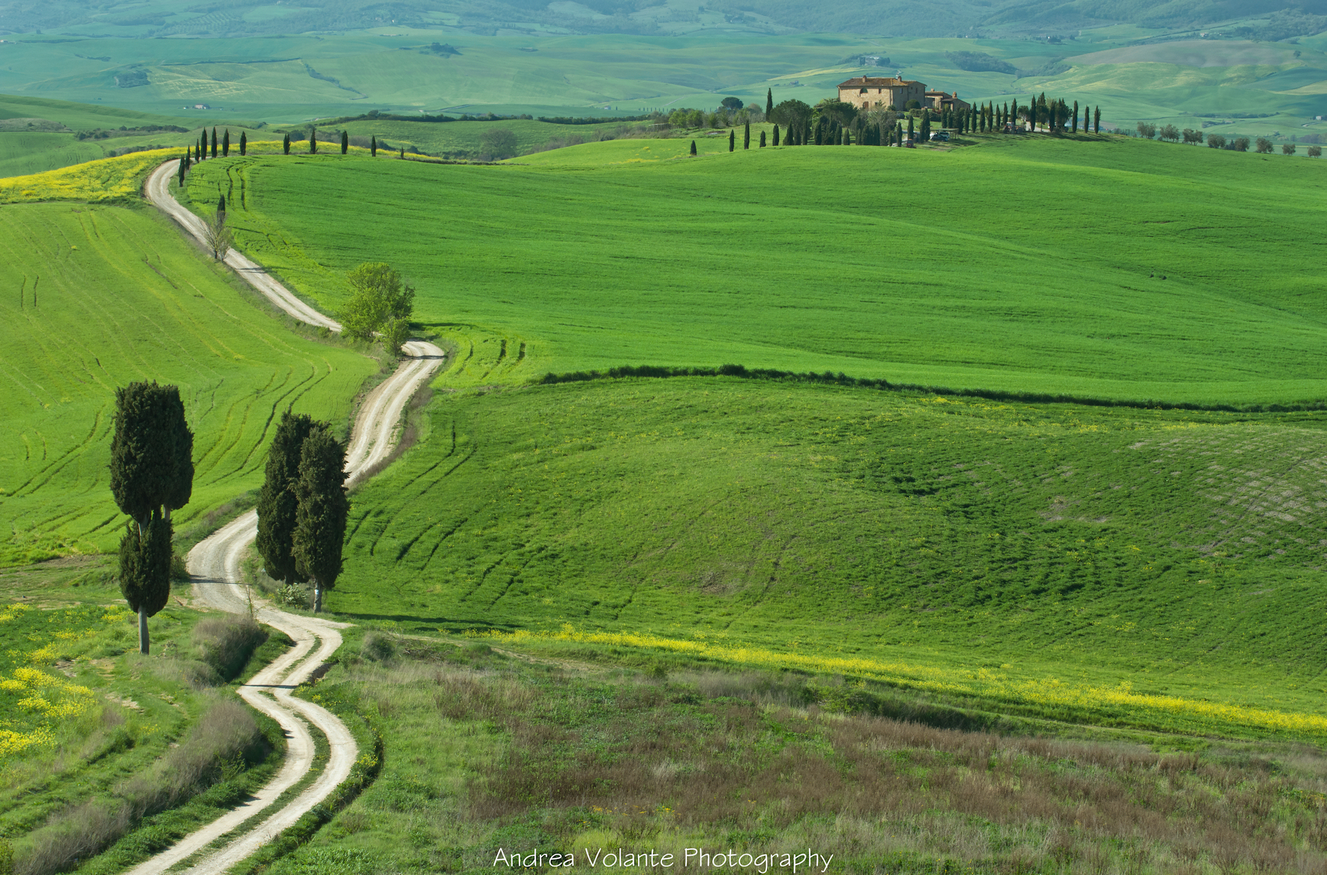 Podere Terrapille ..sulla via di casa.