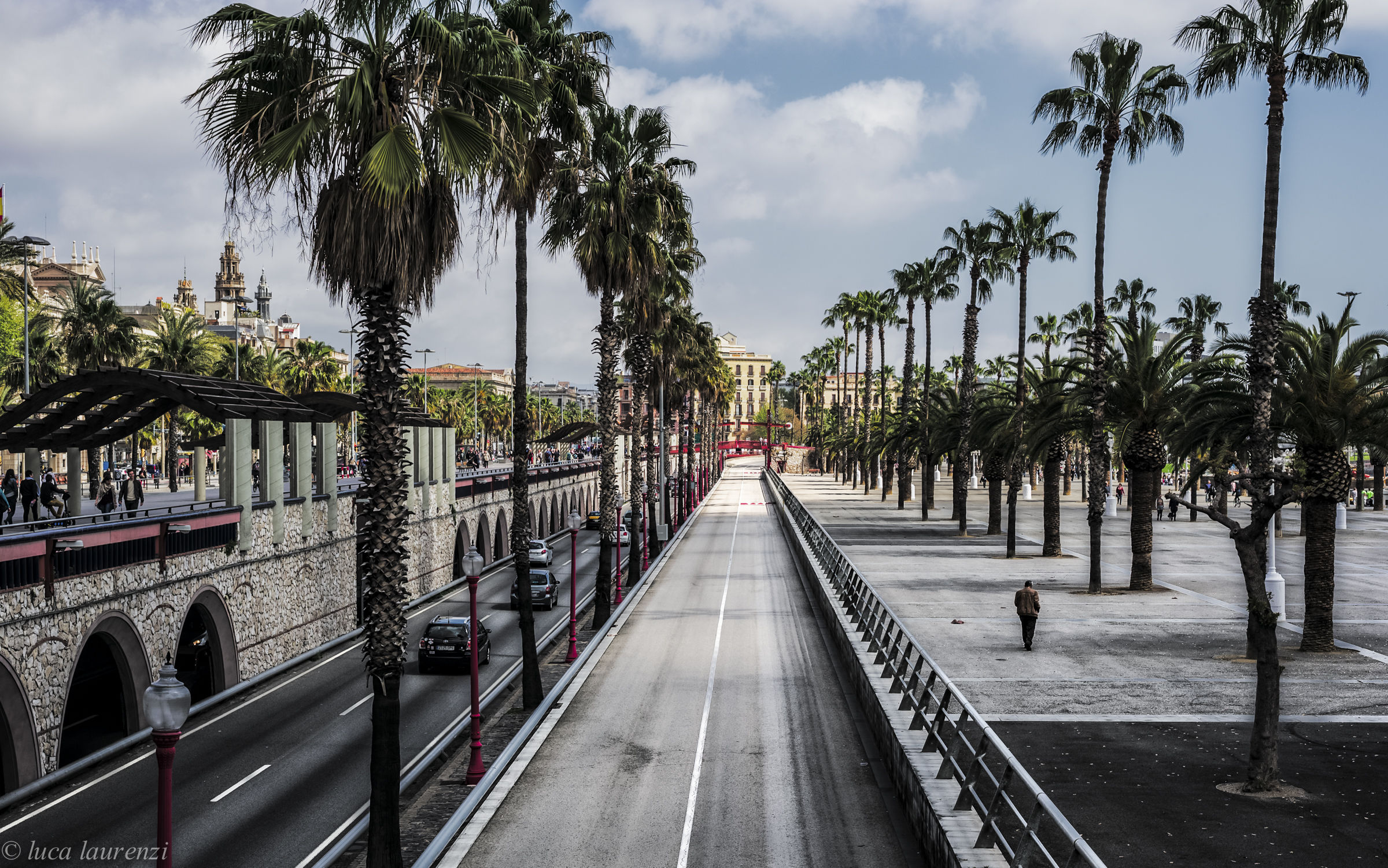 The palm trees of Barcelona