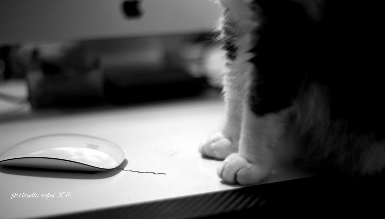 I took thee at last!