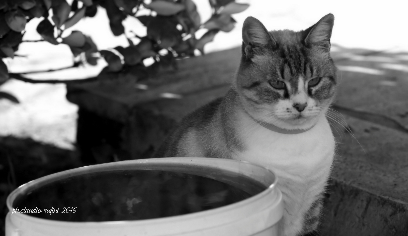 drink ... I do not drink