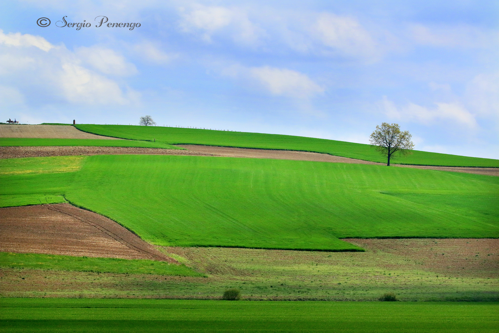 "Terre del Monferrato"