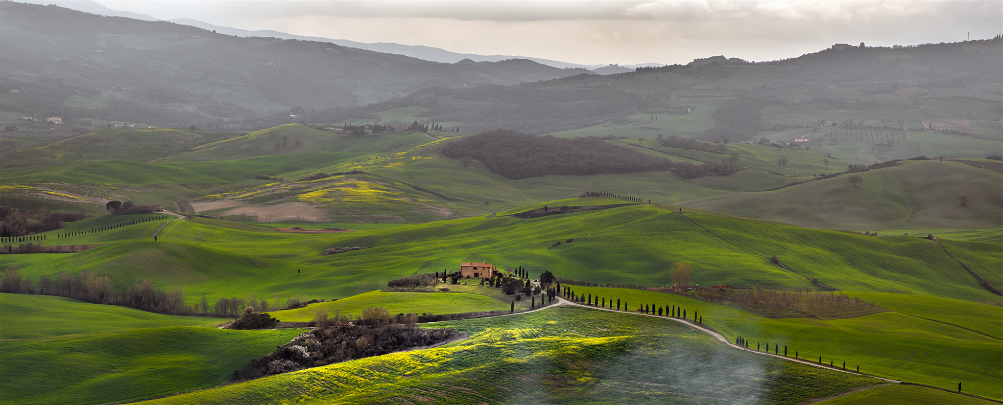 My Tuscany
