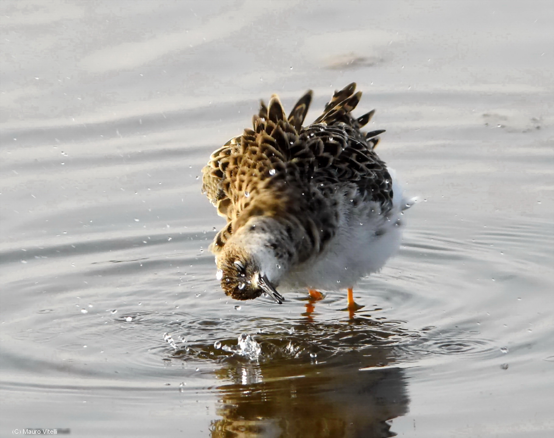 Fighter in the bathroom