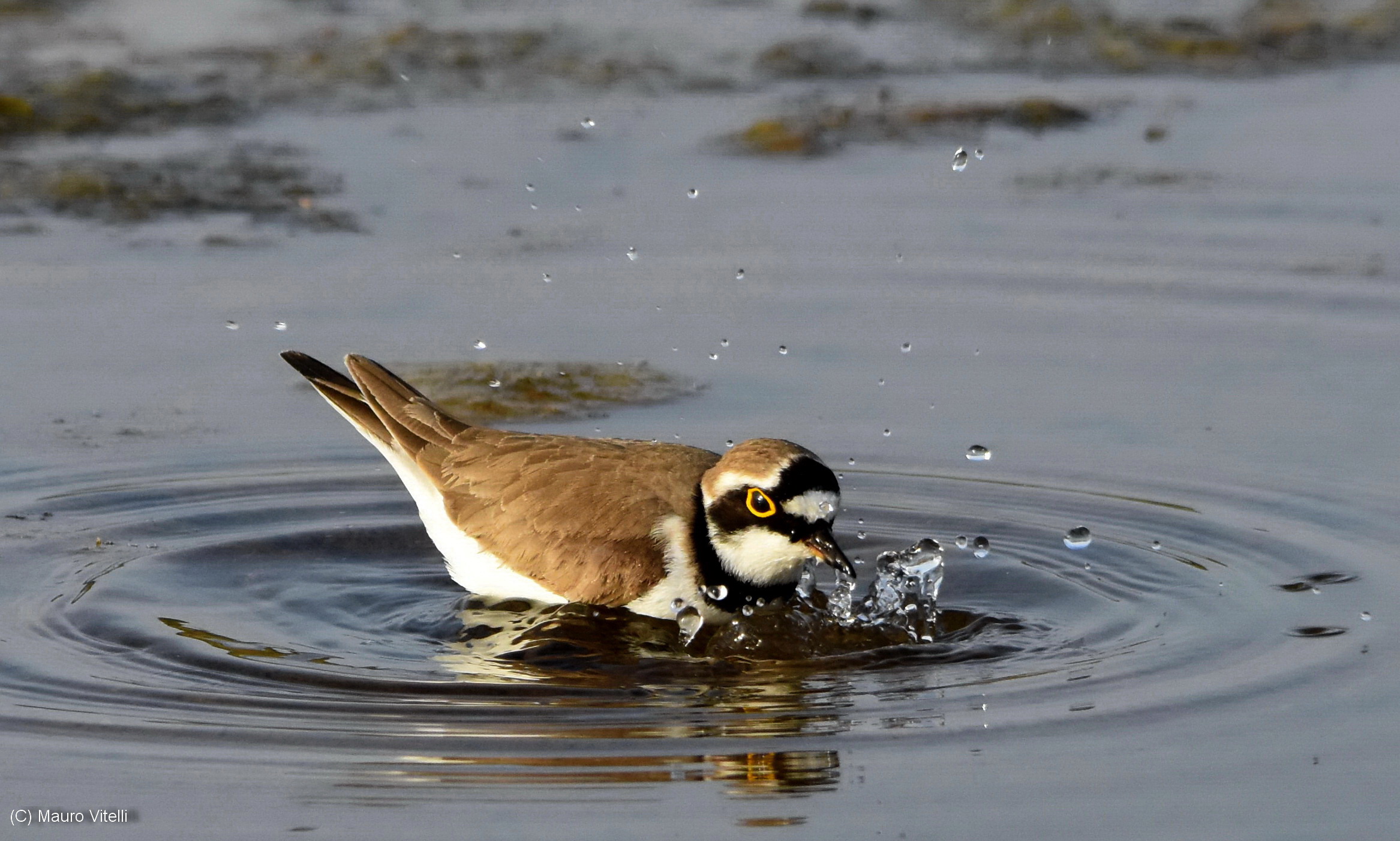 Small courier to the bathroom
