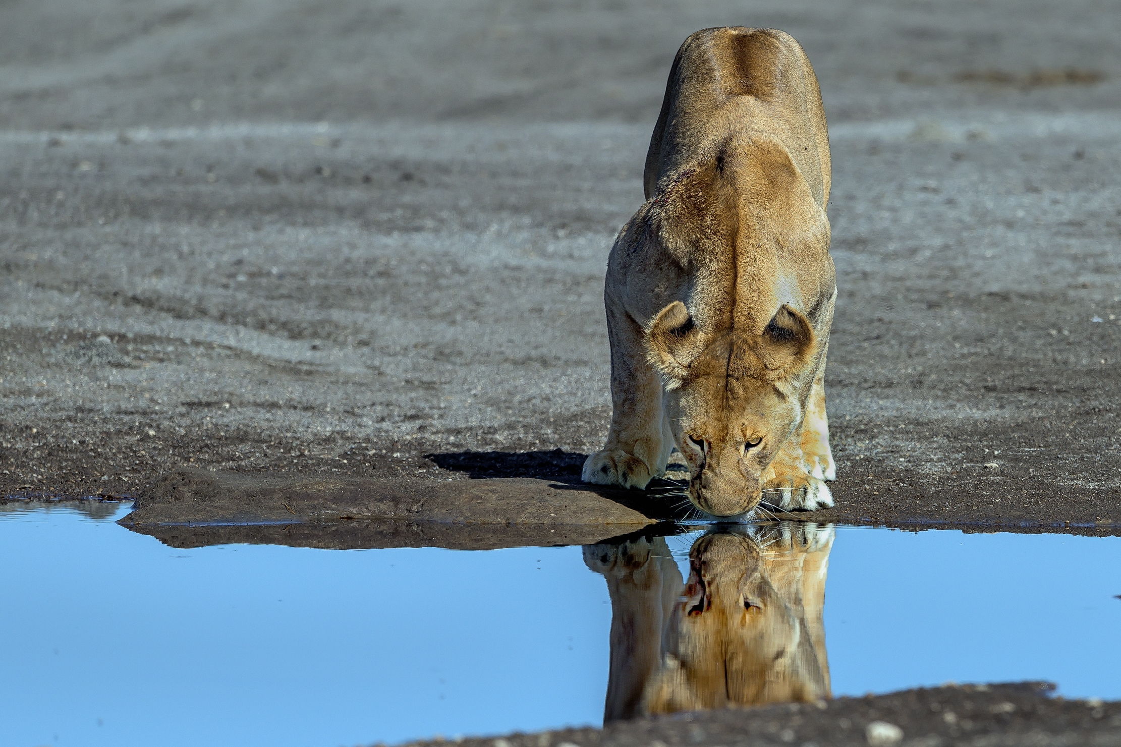 Tanzania 2016 - Alla pozza