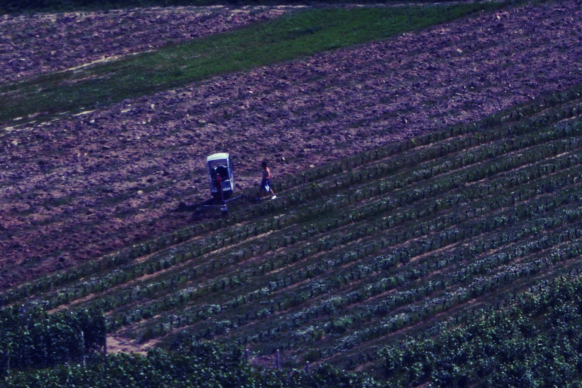 Marathon picture of the Langhe