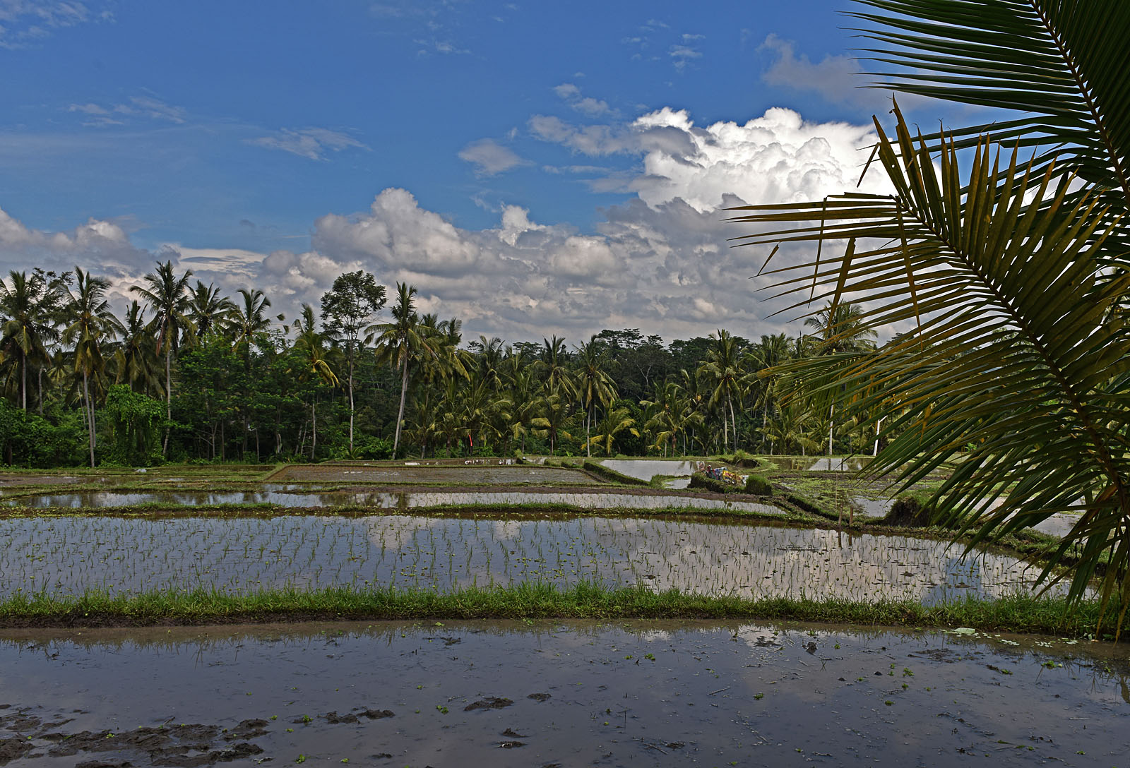 Benoa Bali Indonesia
