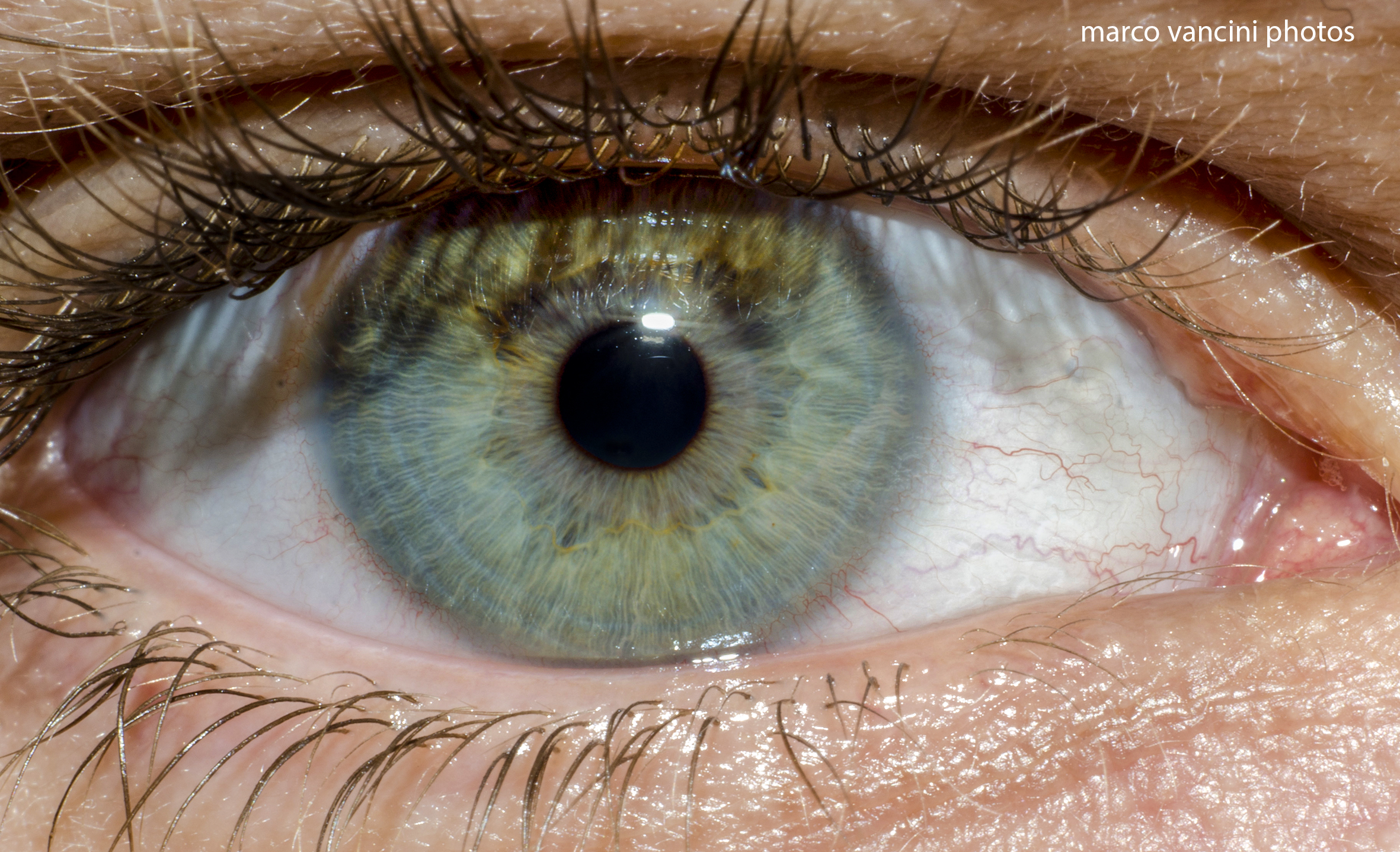 Un'occhio di riguardo..