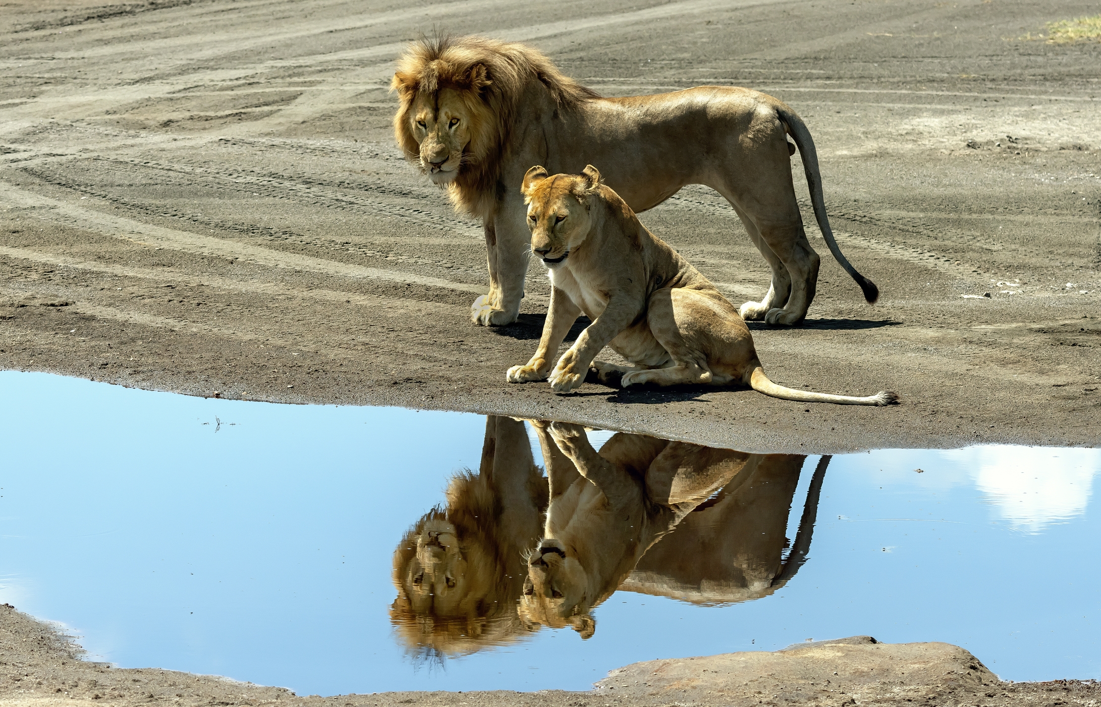 Tanzania 2016 - Riflessi