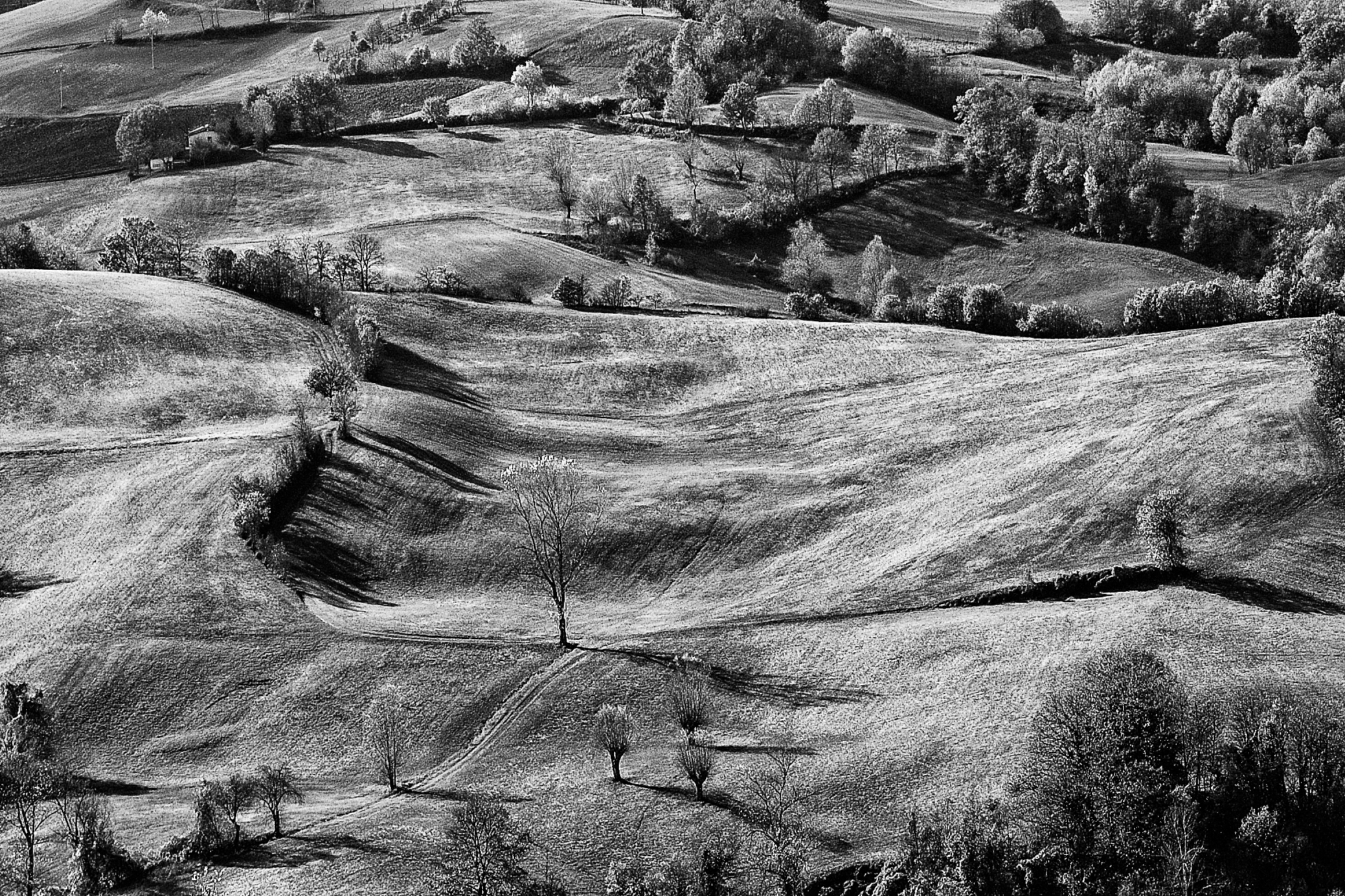 Hills of Reggio Emilia