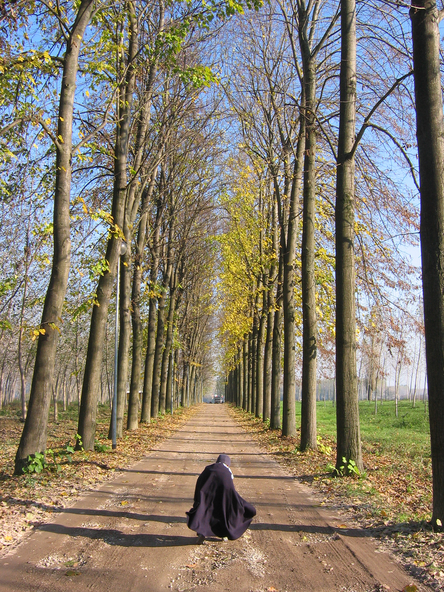 Piccolo Batman tra i pioppi