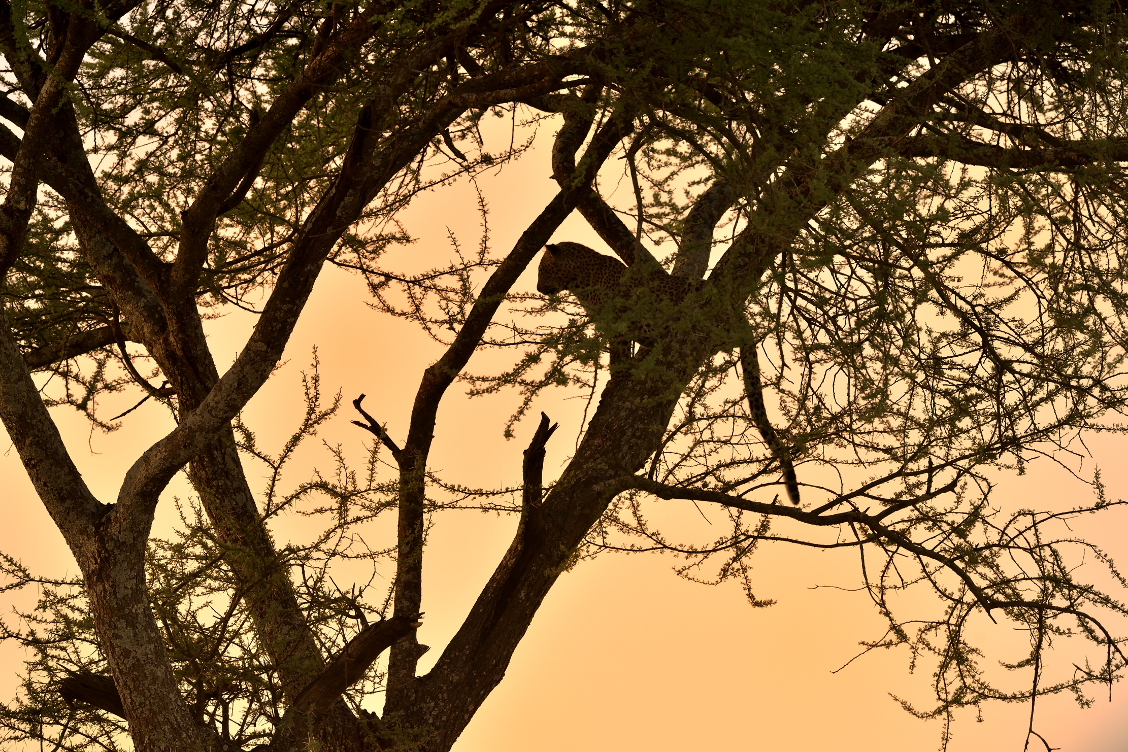 Tanzania 2016 - Sera