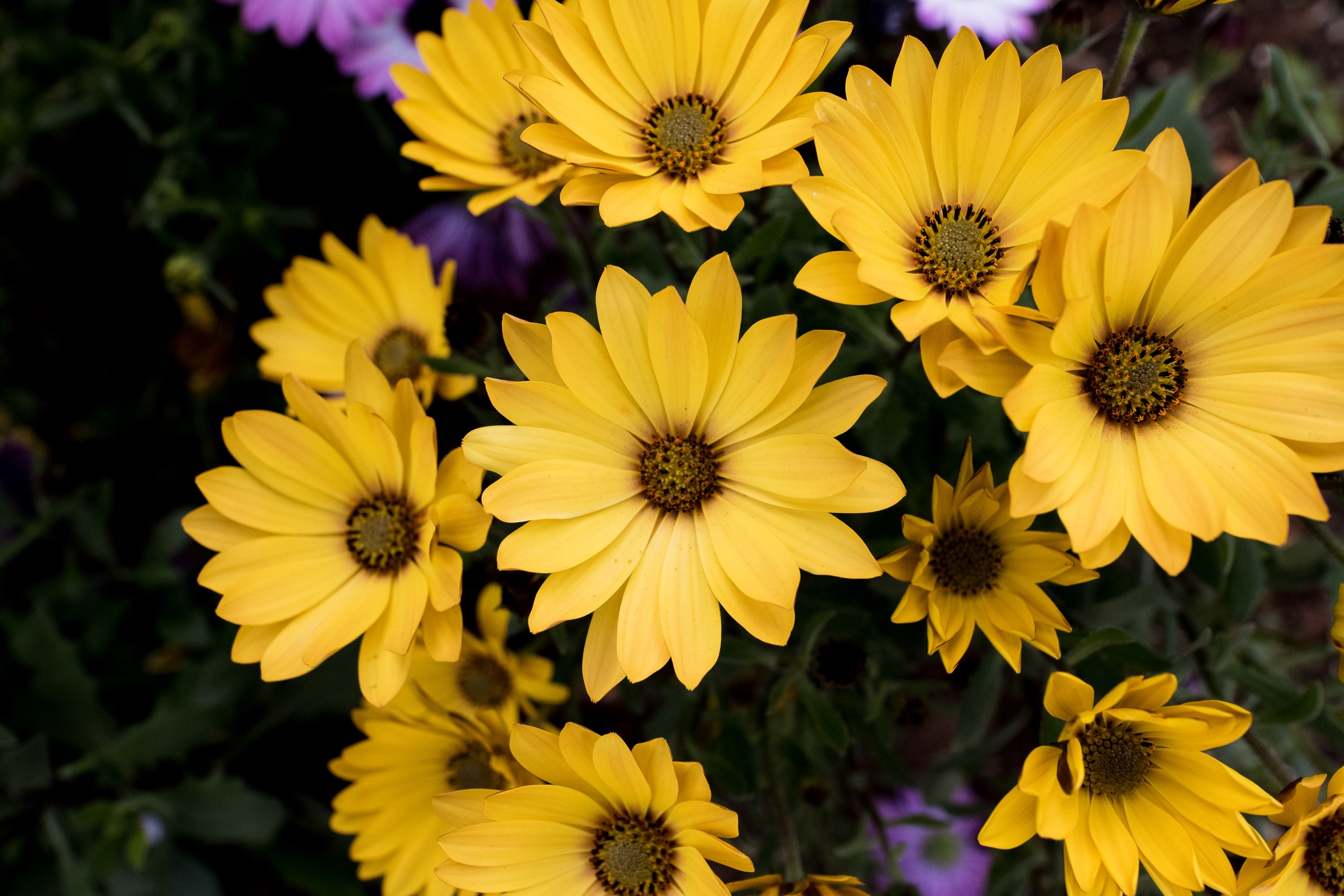 Centrato per bene...